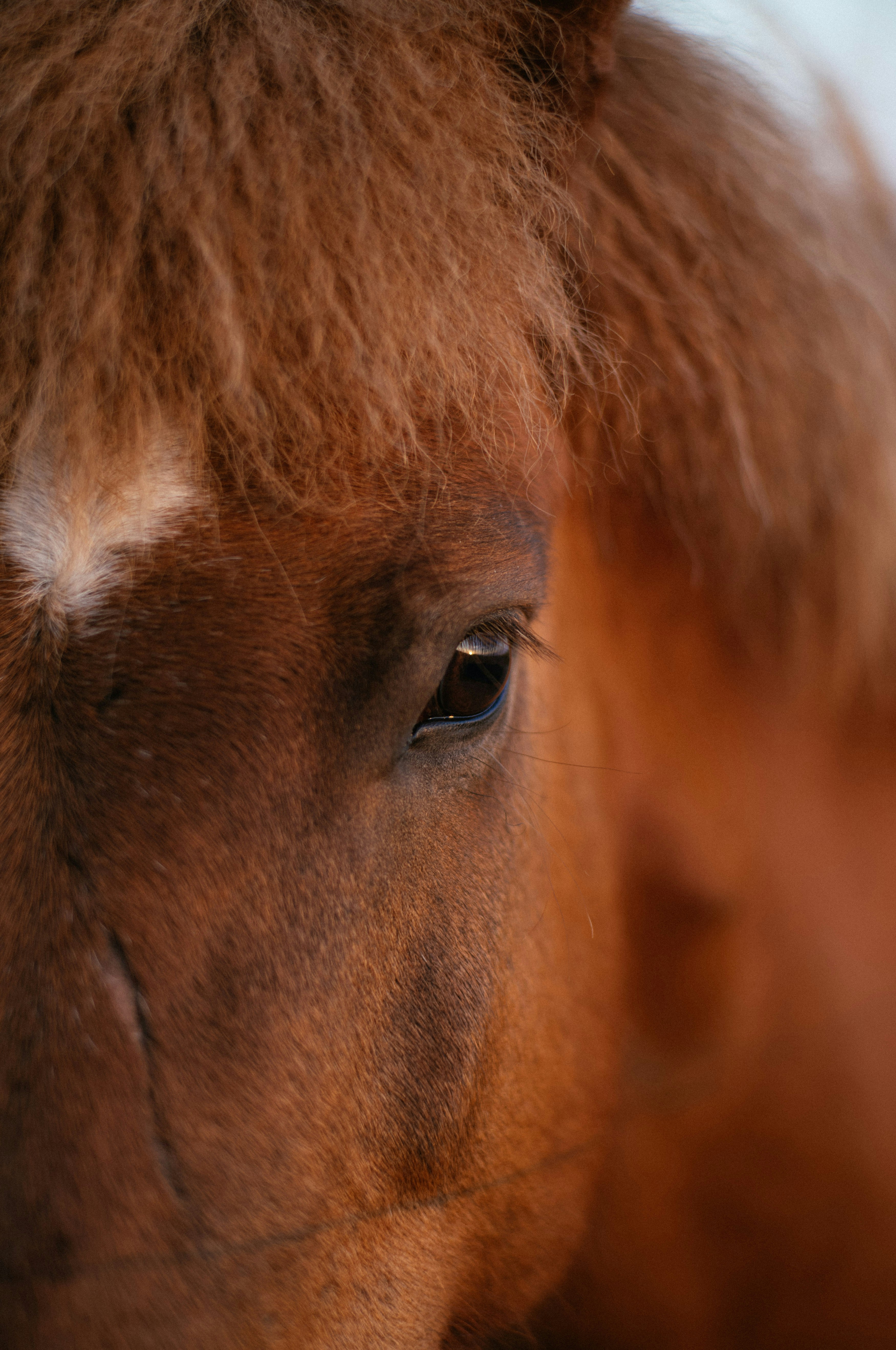 Photo by kiralaktionov