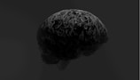 A black and white photo of a brain