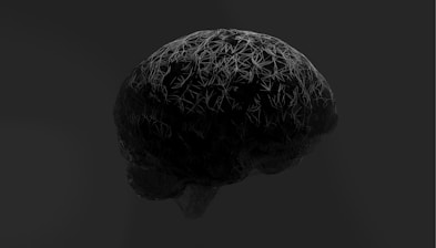 A black and white photo of a brain