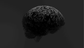 A black and white photo of a brain