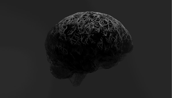 A black and white photo of a brain