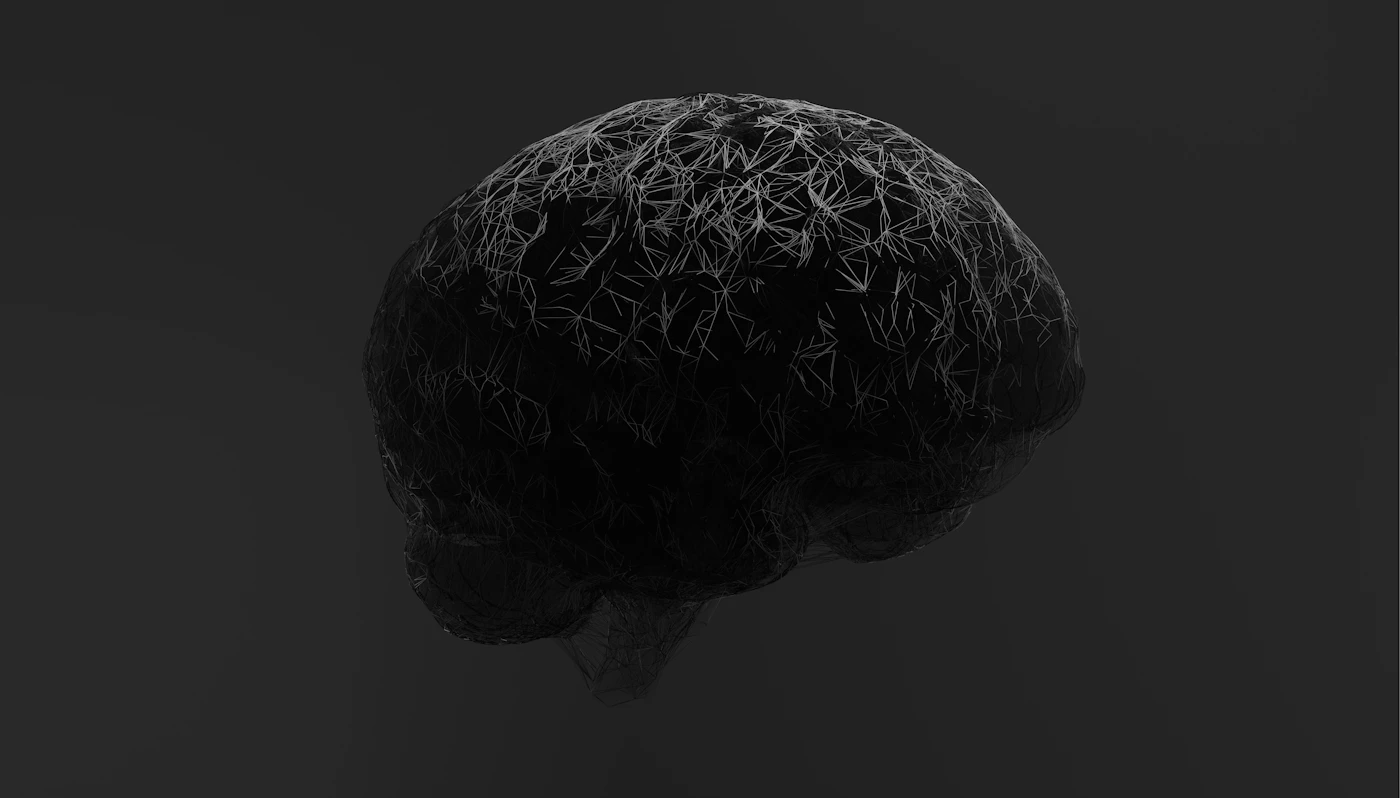 Modell eines menschlichen Gehirns – Sinnbild für die zwei Denksysteme im Neuromarketing