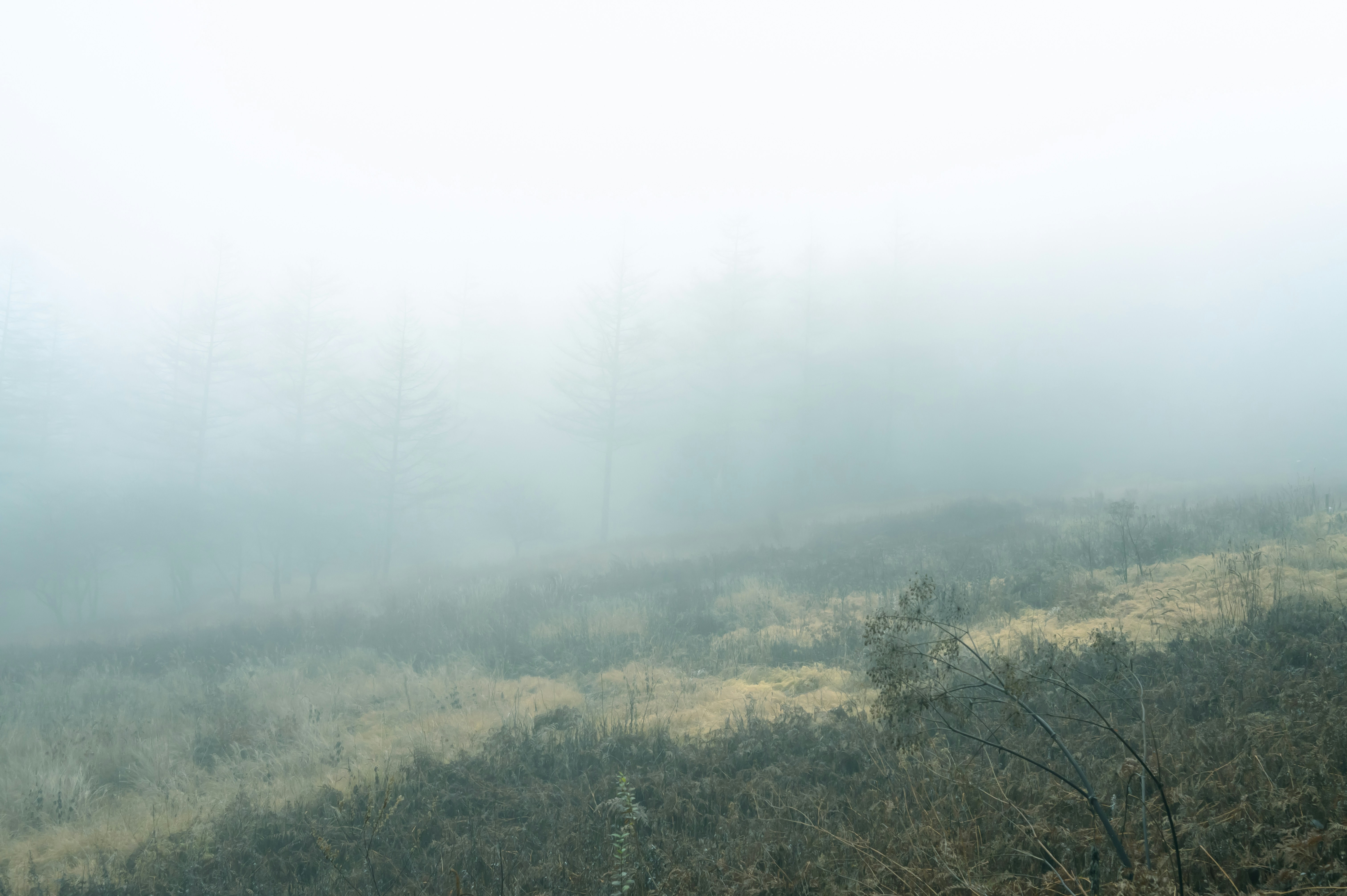 Photo by hayato_no_kiroku