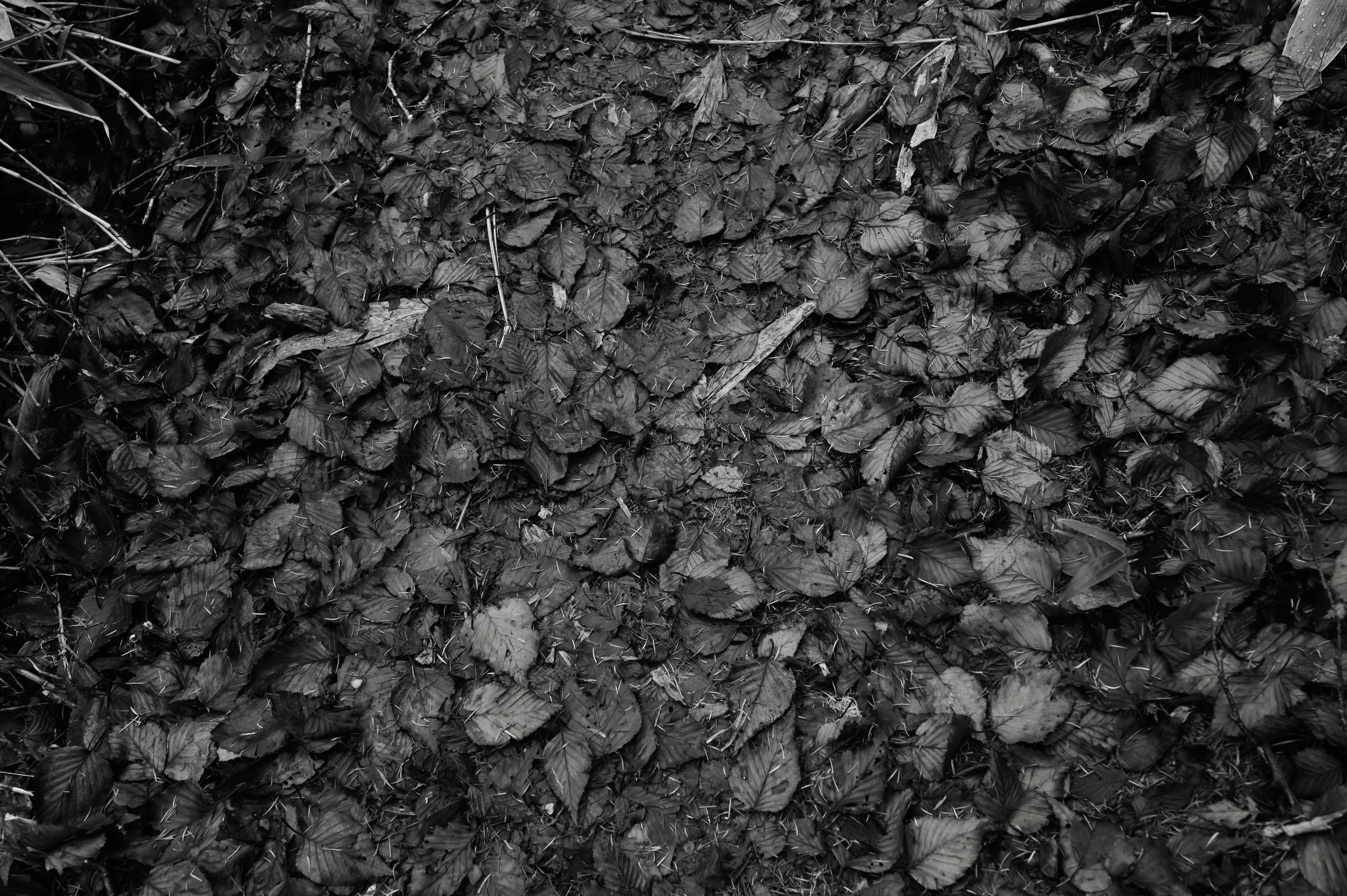 Photo by hayato_no_kiroku