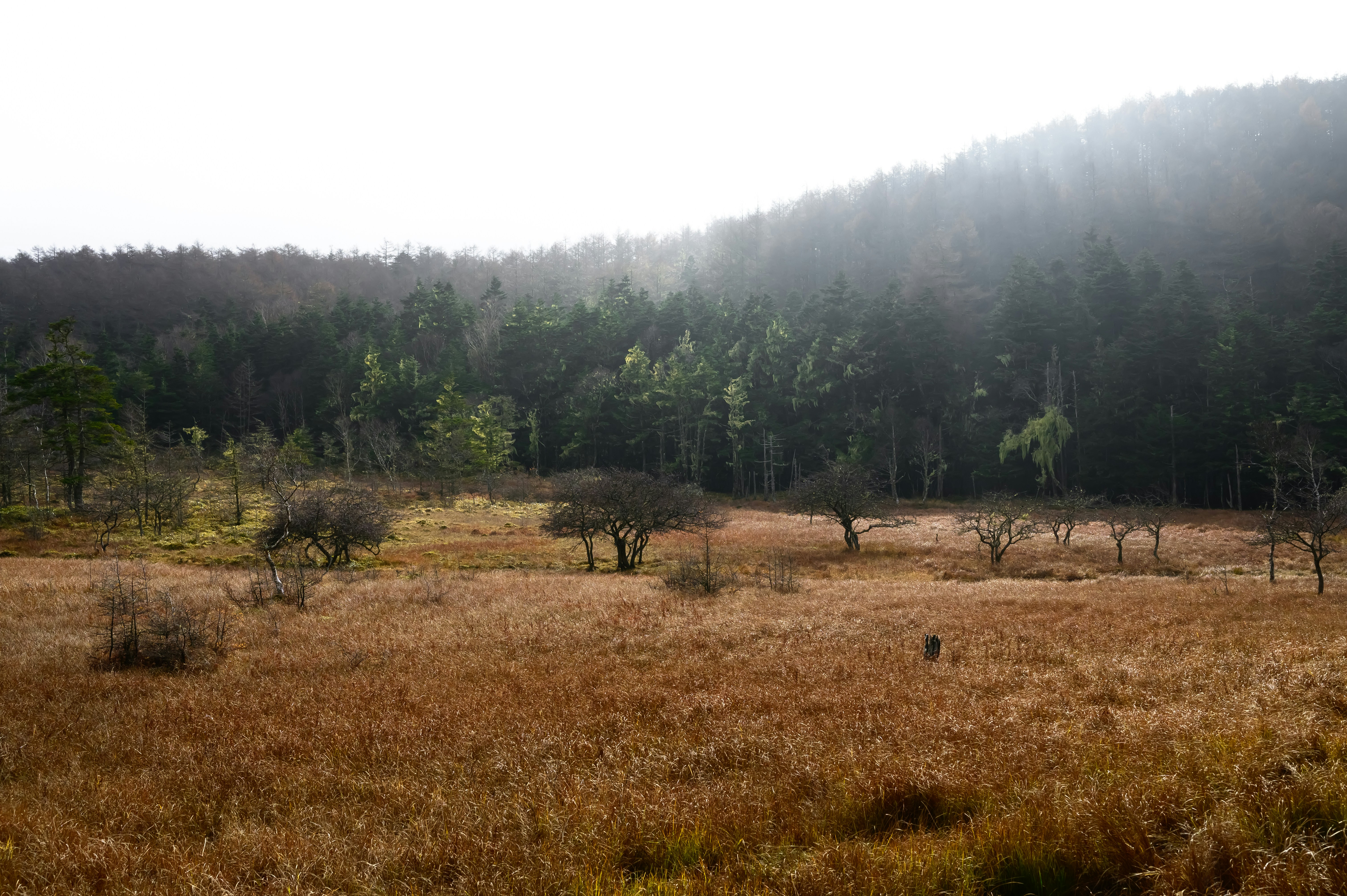 Photo by hayato_no_kiroku