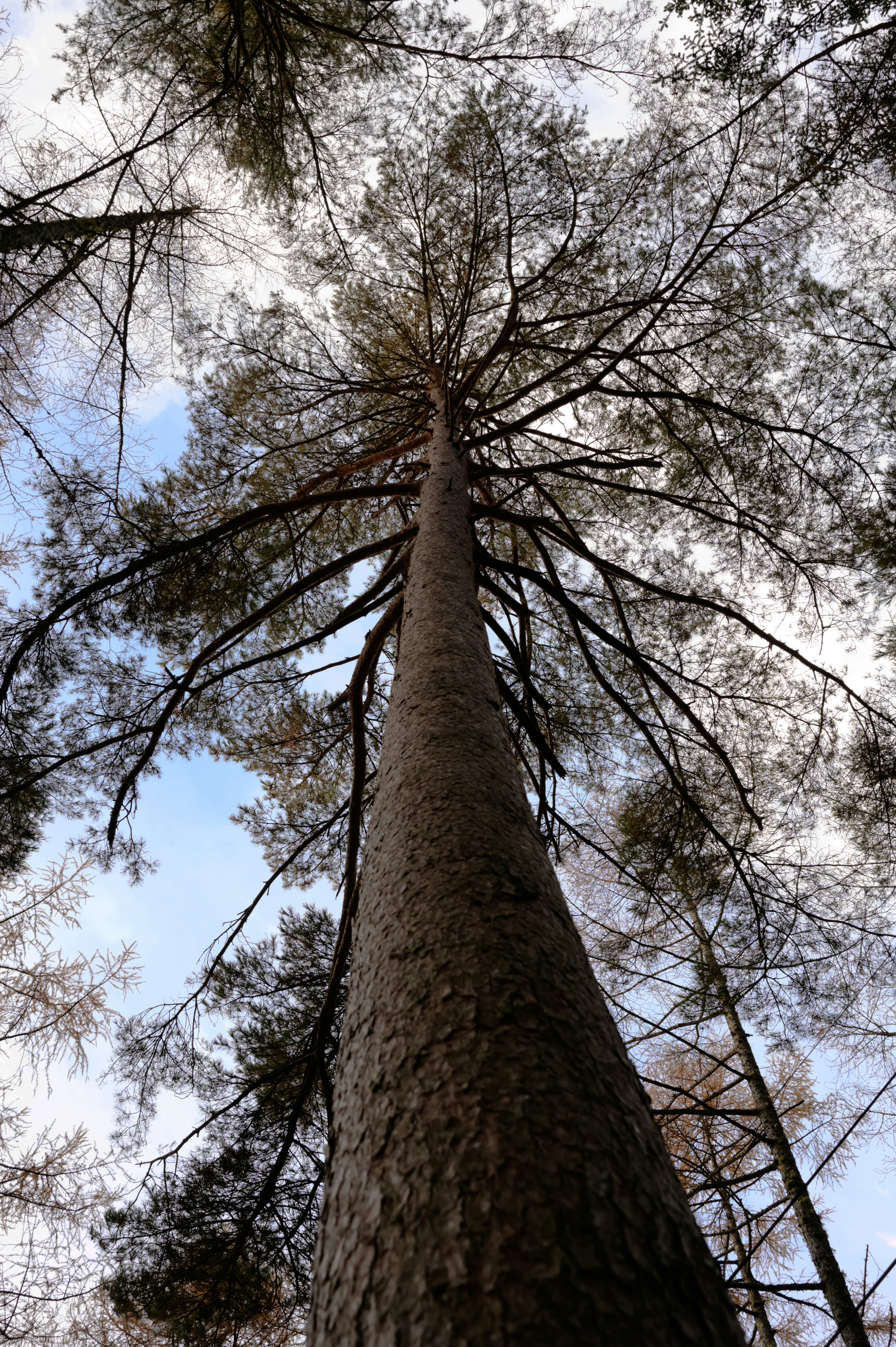 Photo by hayato_no_kiroku