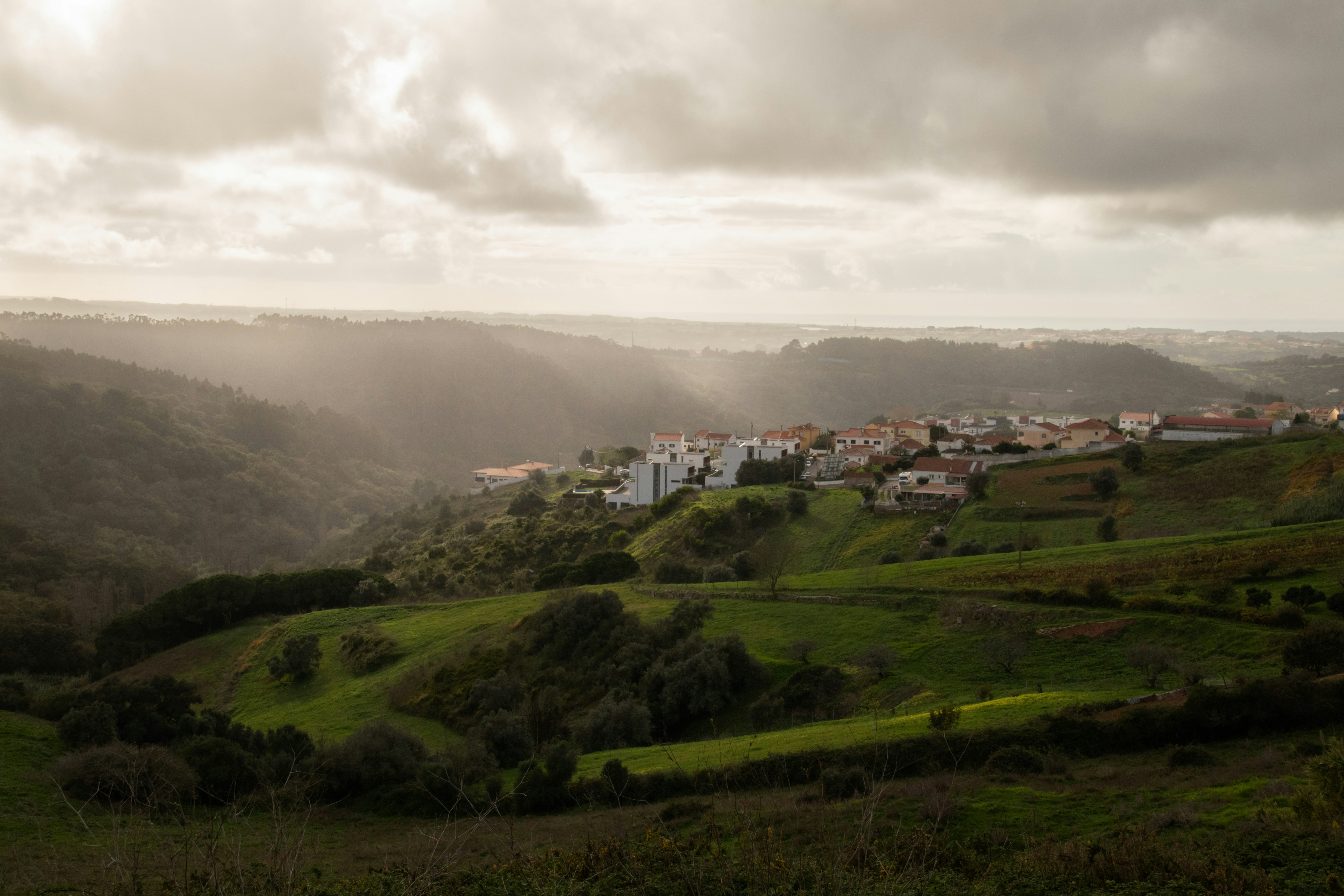 Photo by filipenobre