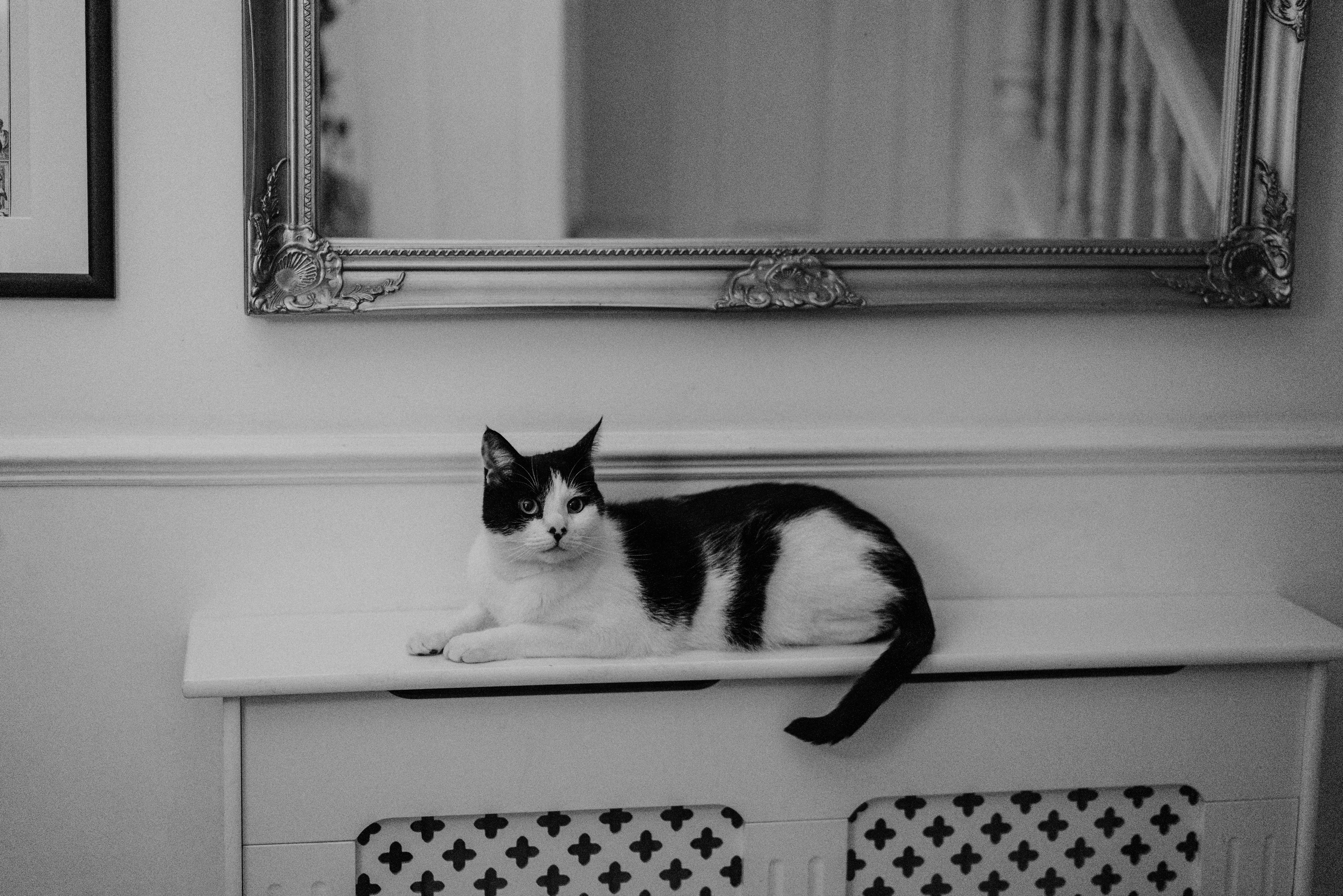 Photo by philhearing