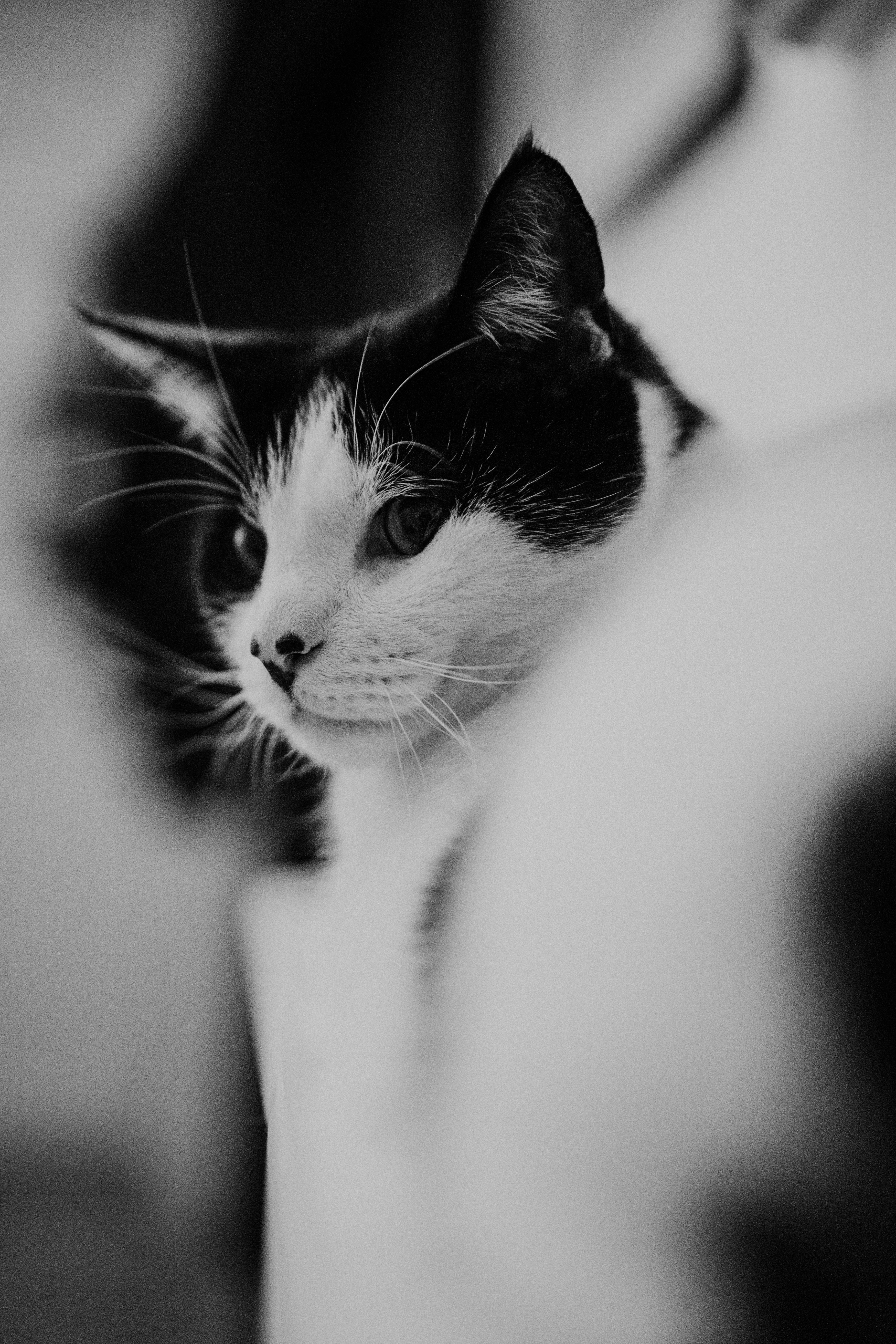 Photo by philhearing