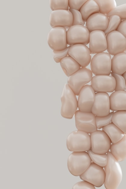 What's Your Gut Health Personality? How Your Microbiome Shapes Your Mood