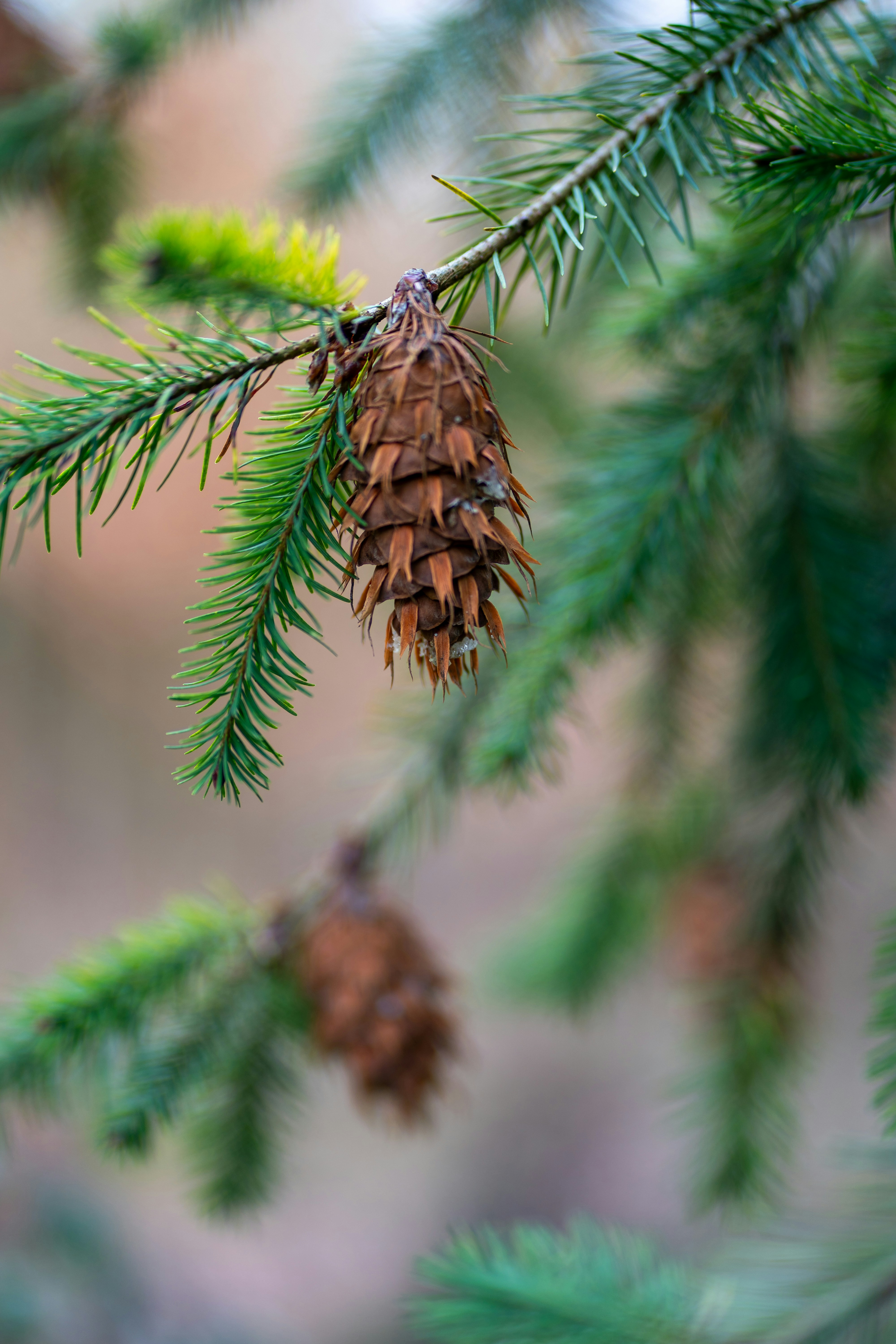 Photo by magictravel