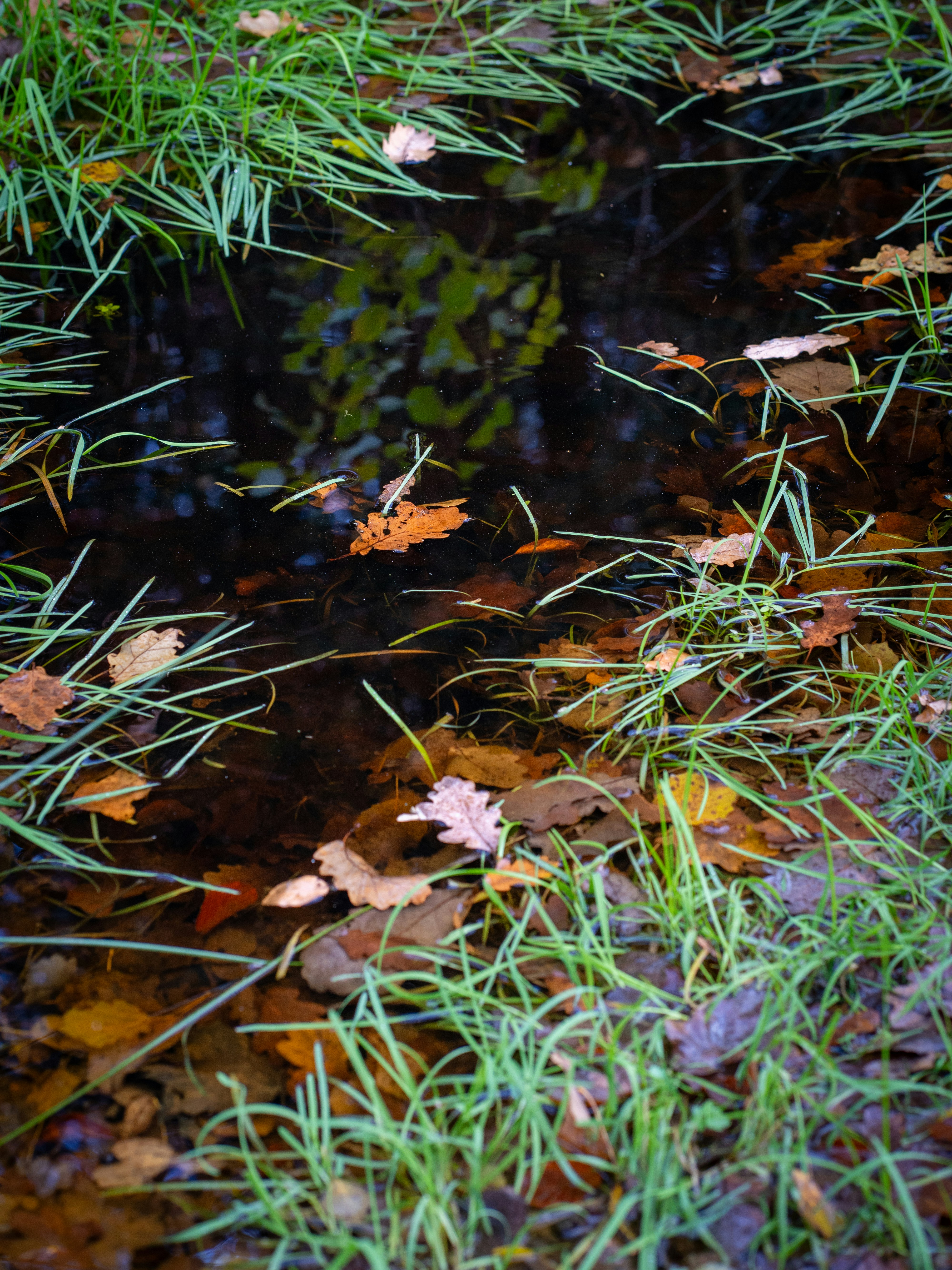 Photo by magictravel