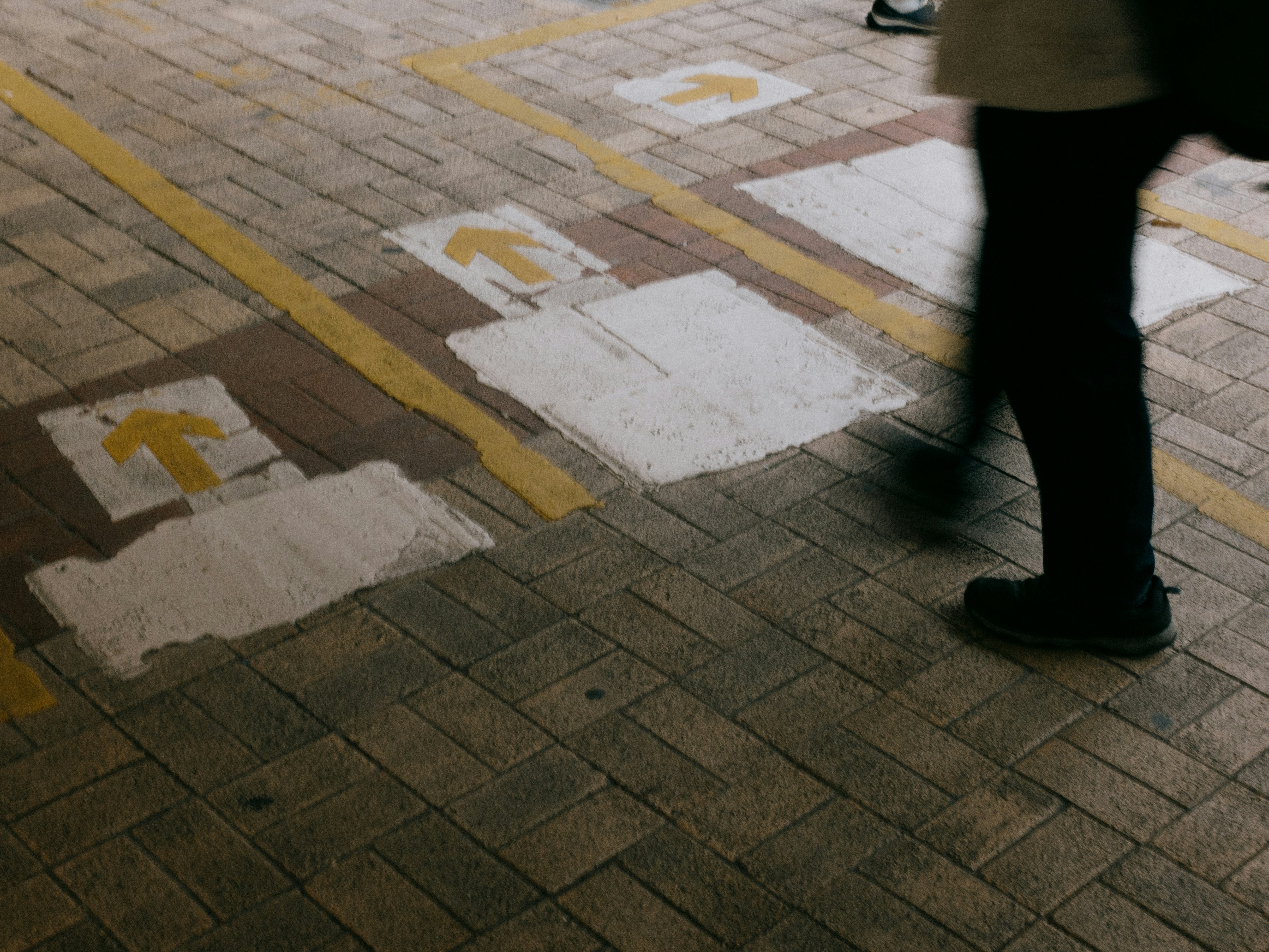 Photo by catgirlmutant