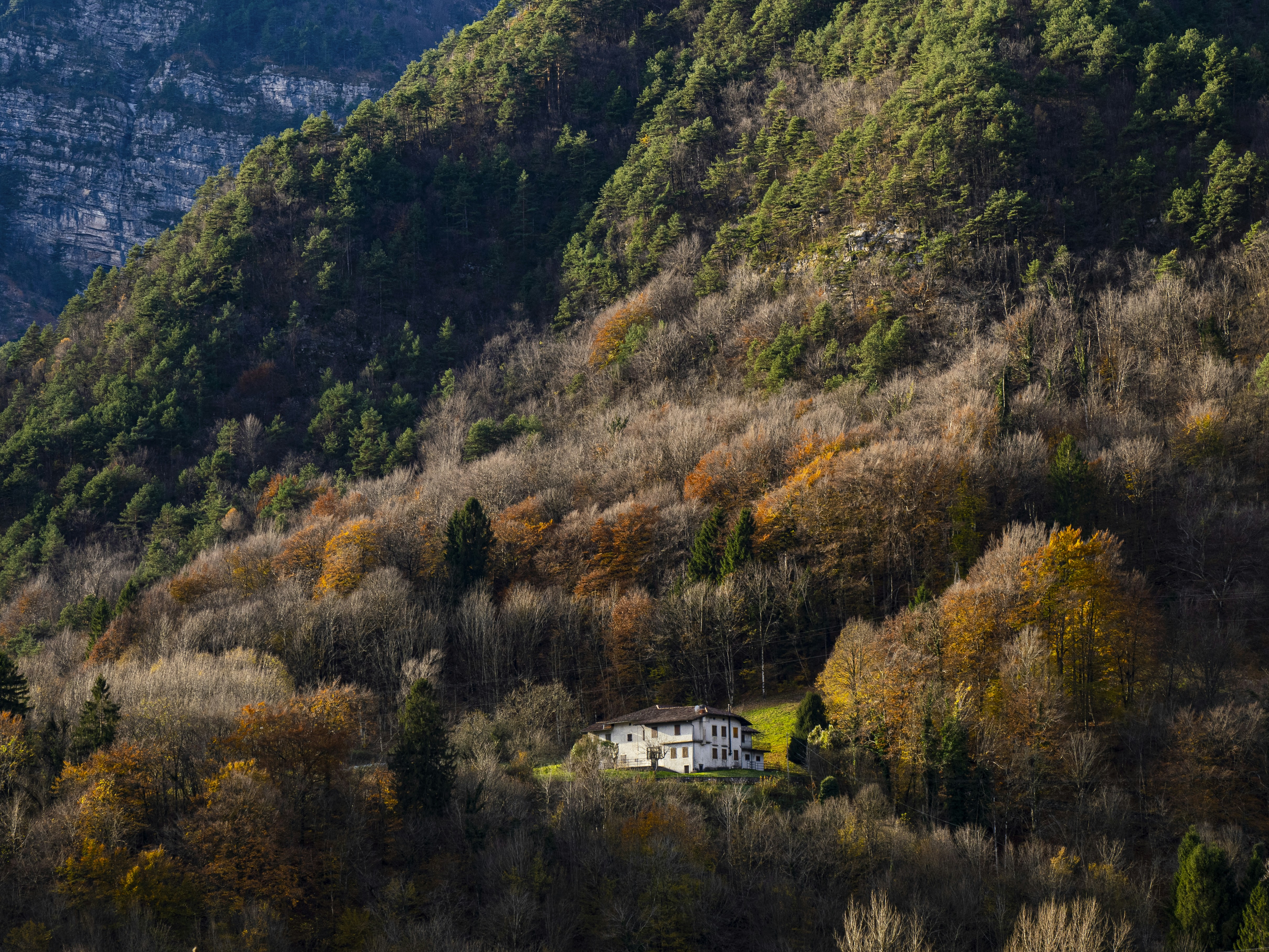 Photo by gopitri_prem