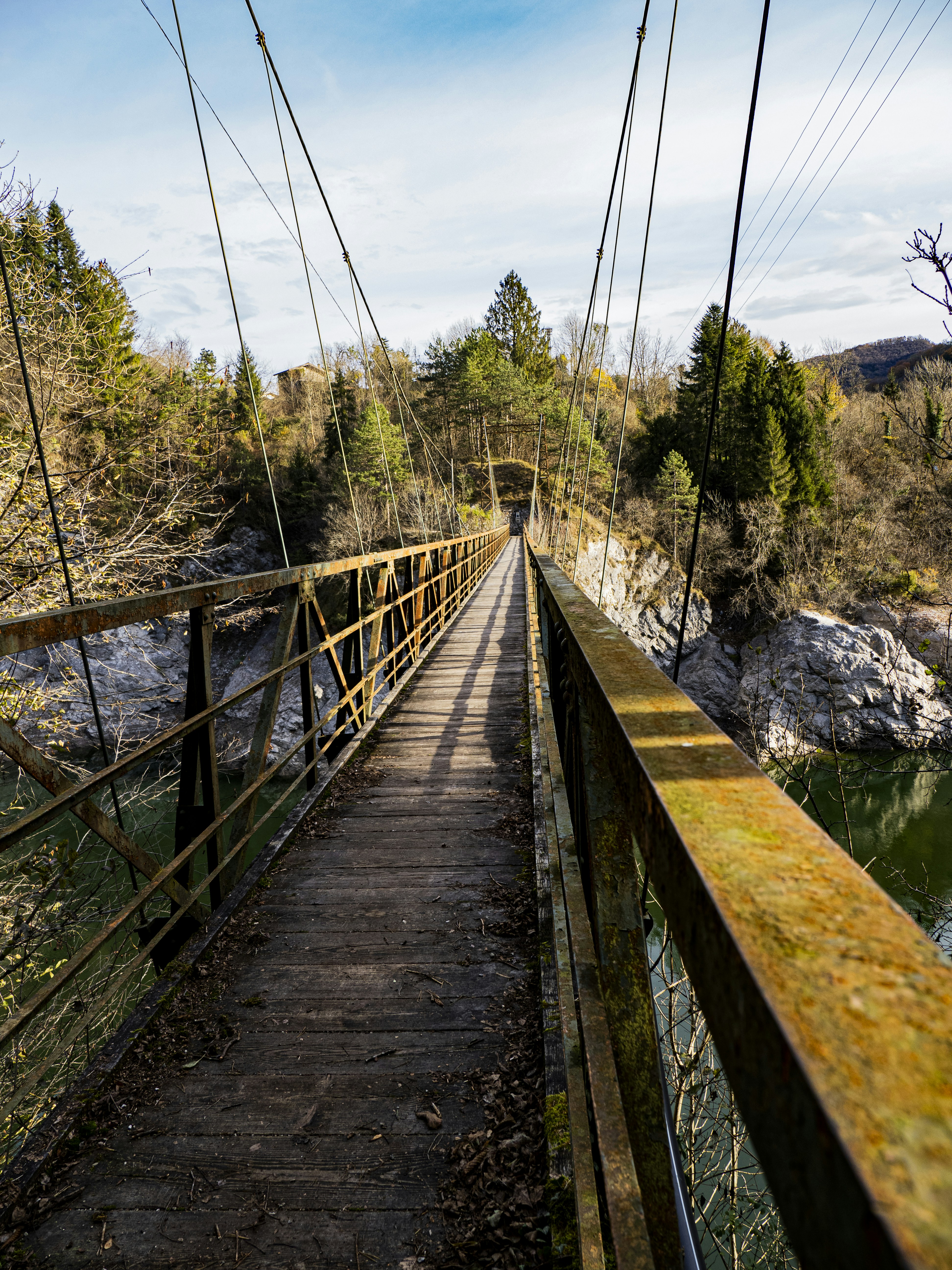 Eiserner Steg (Iron Footbridge) photo 3