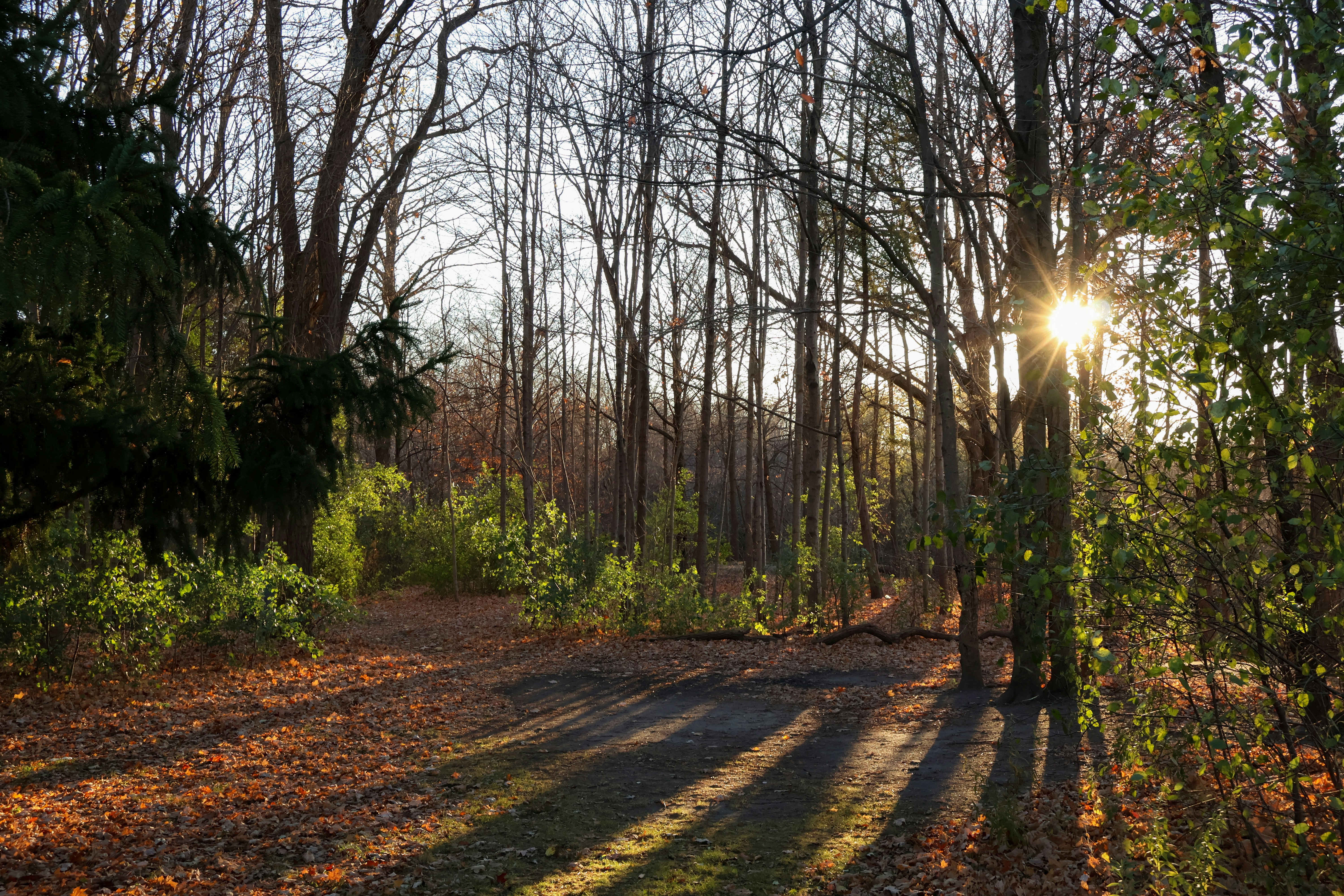 Photo by bruce_great