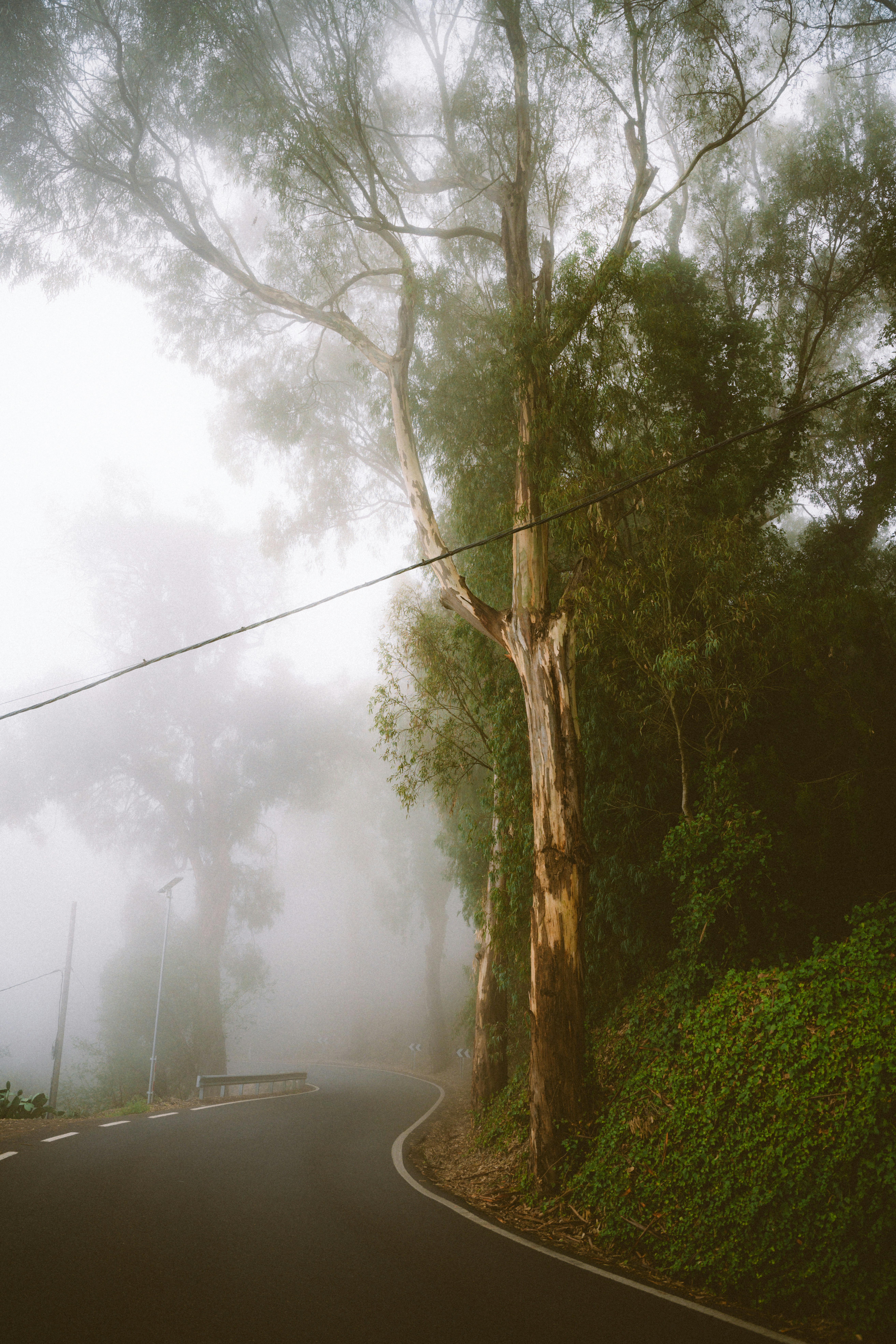 Photo by folkcarlos