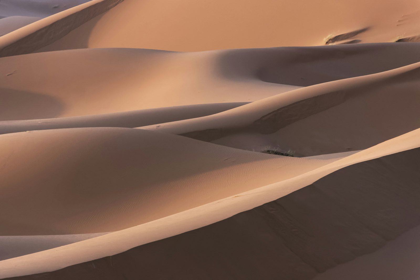 Marathon des Sables 2027 editorial