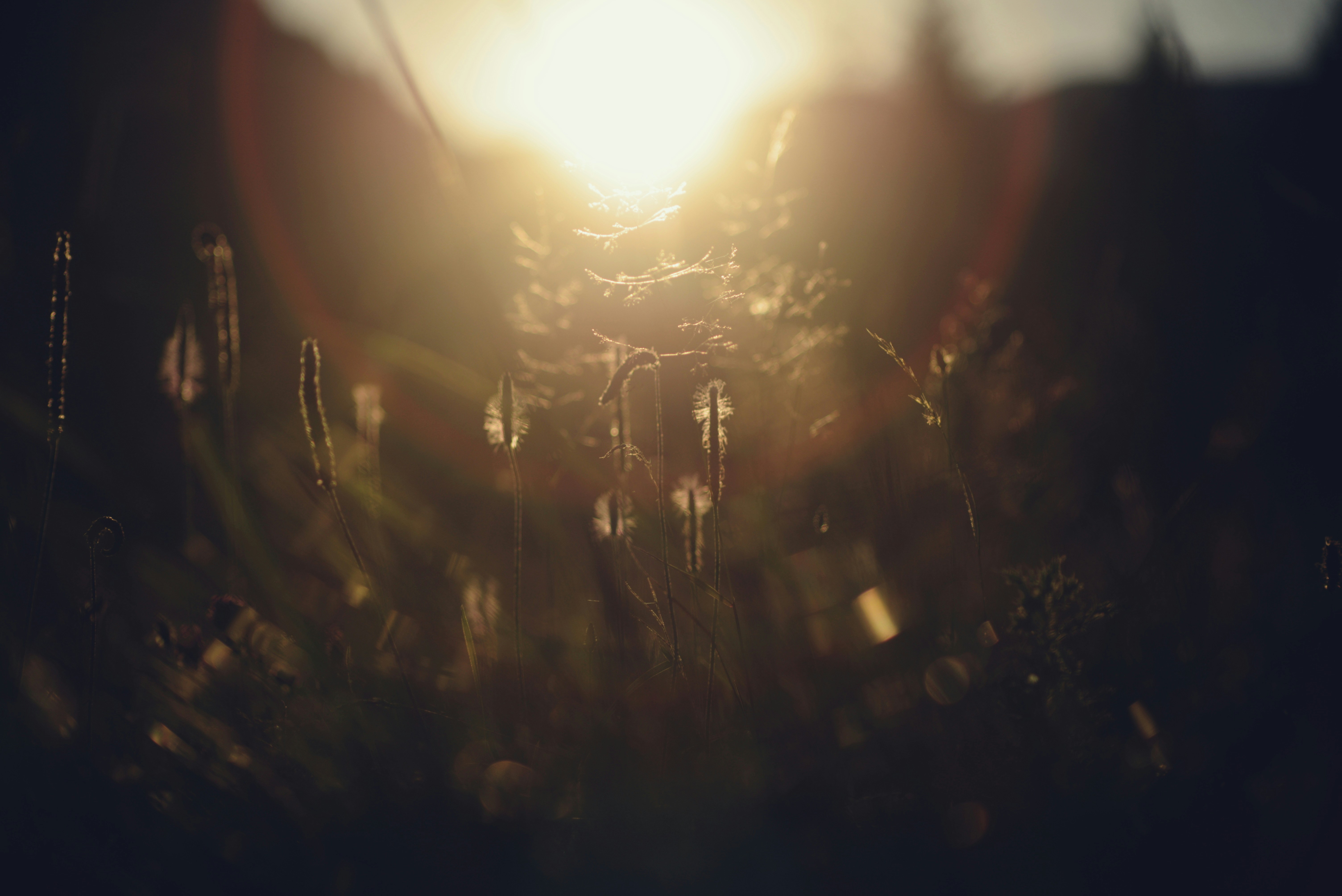 Photo by cherstve_pechivo