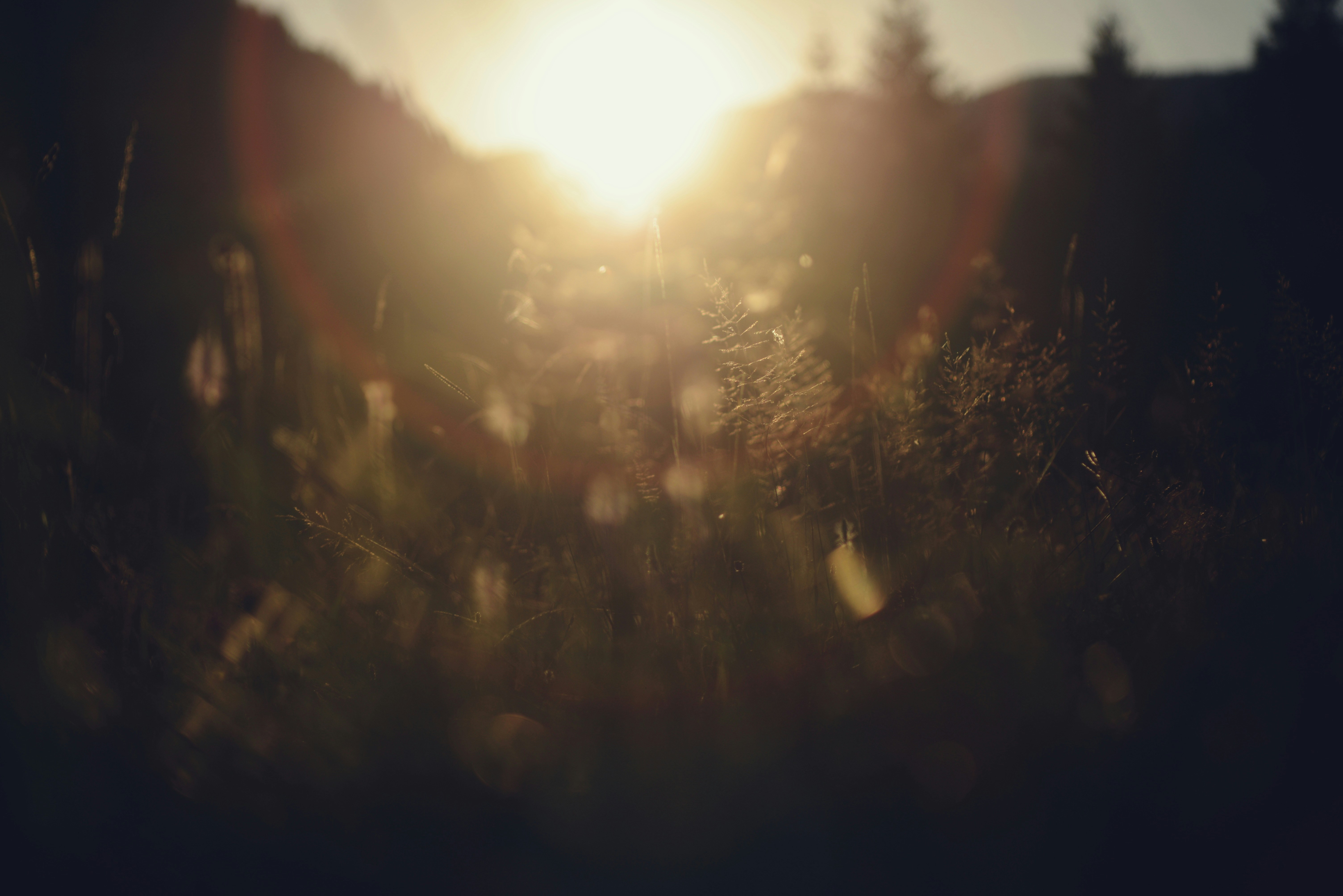 Photo by cherstve_pechivo