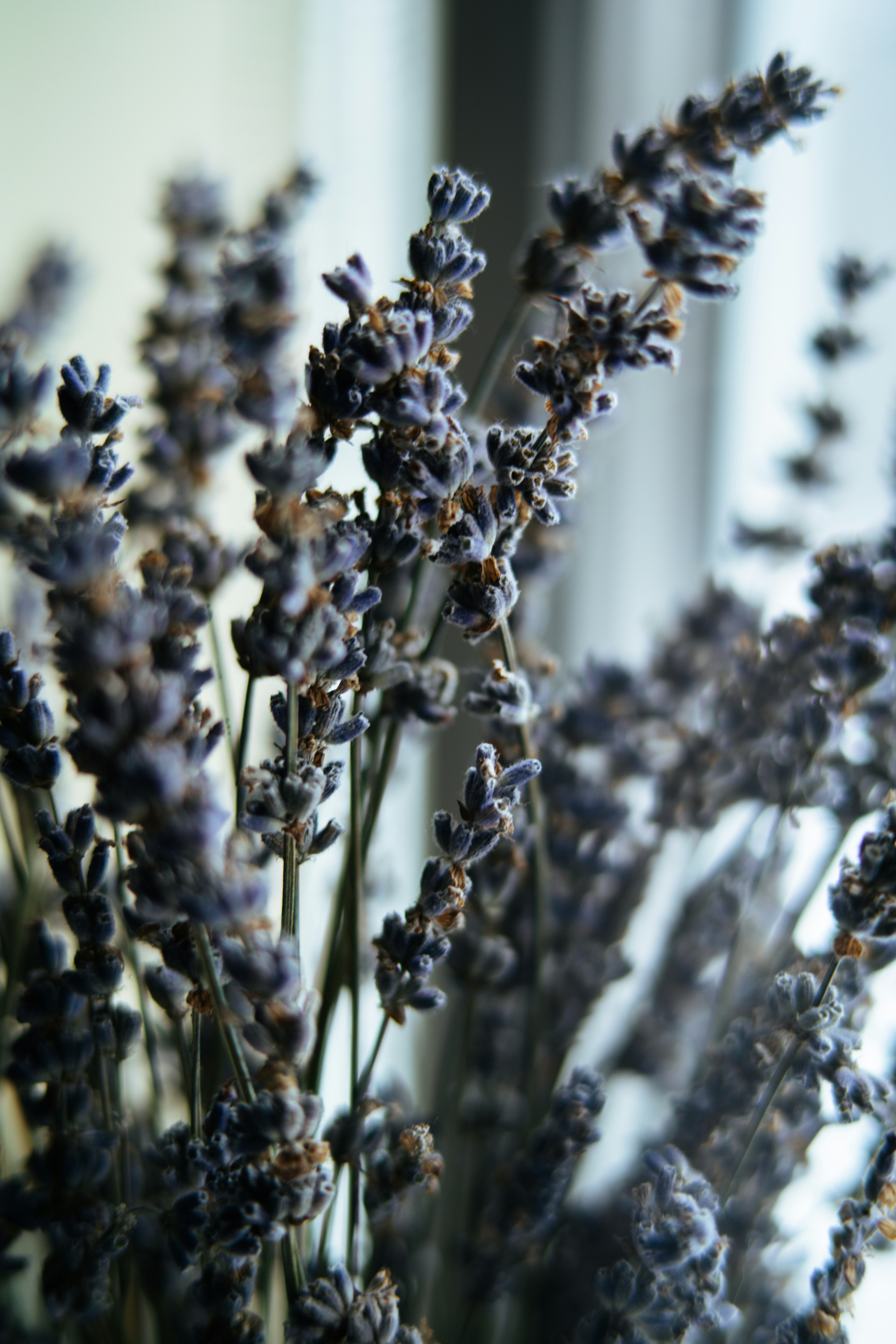 Photo by anamnesis33