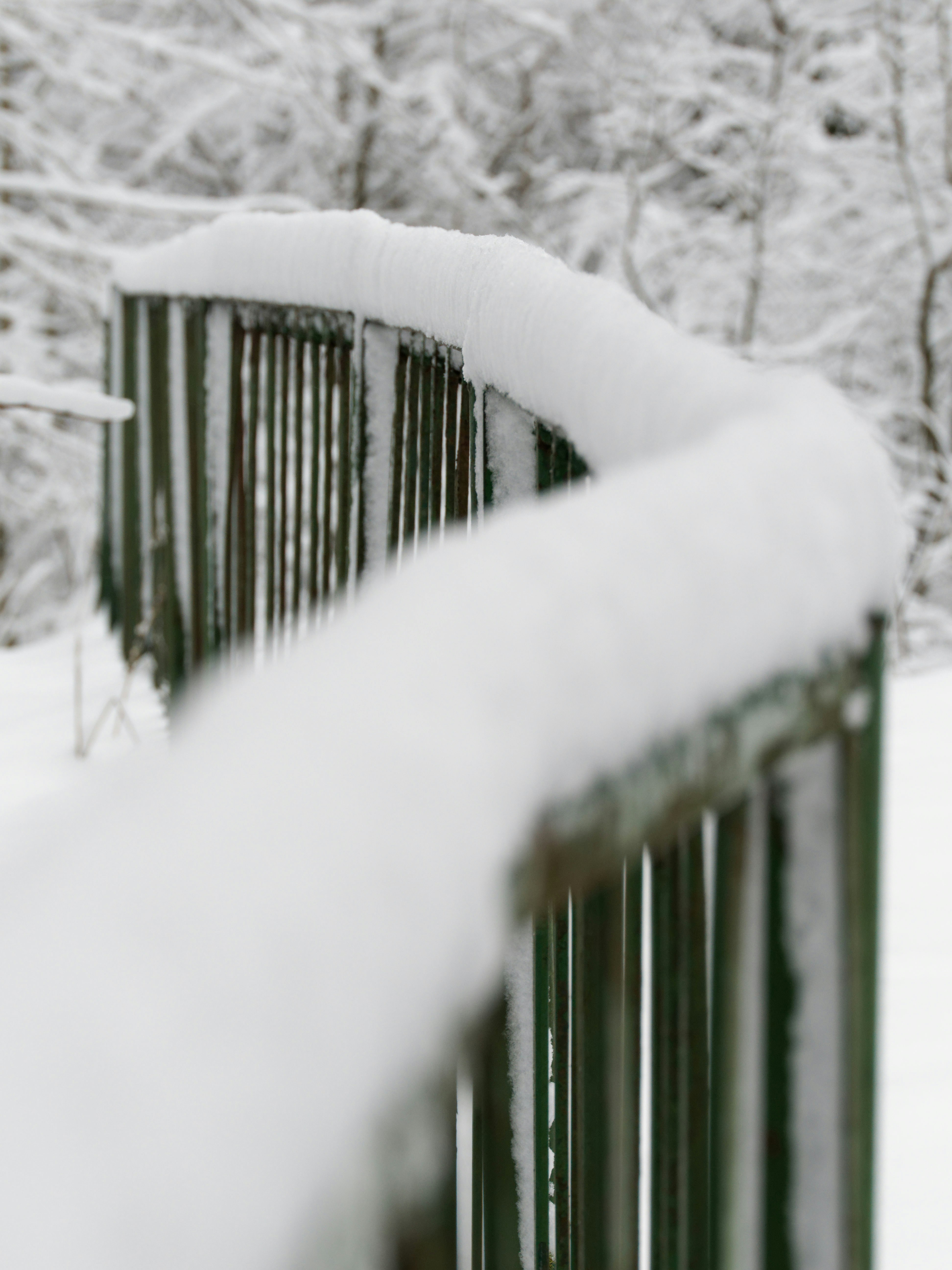 Photo by illes_cristi