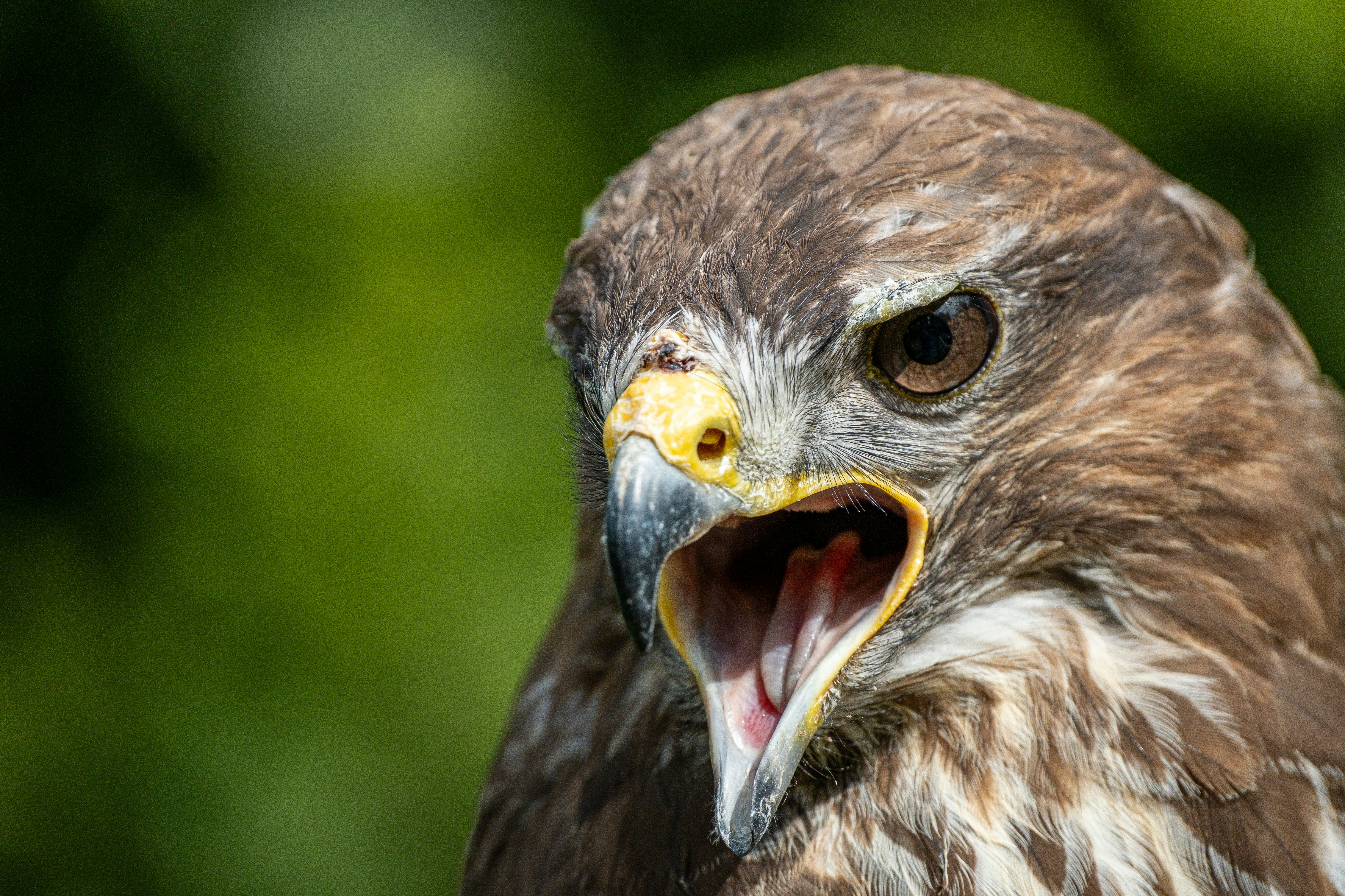 Photo by philrobson100