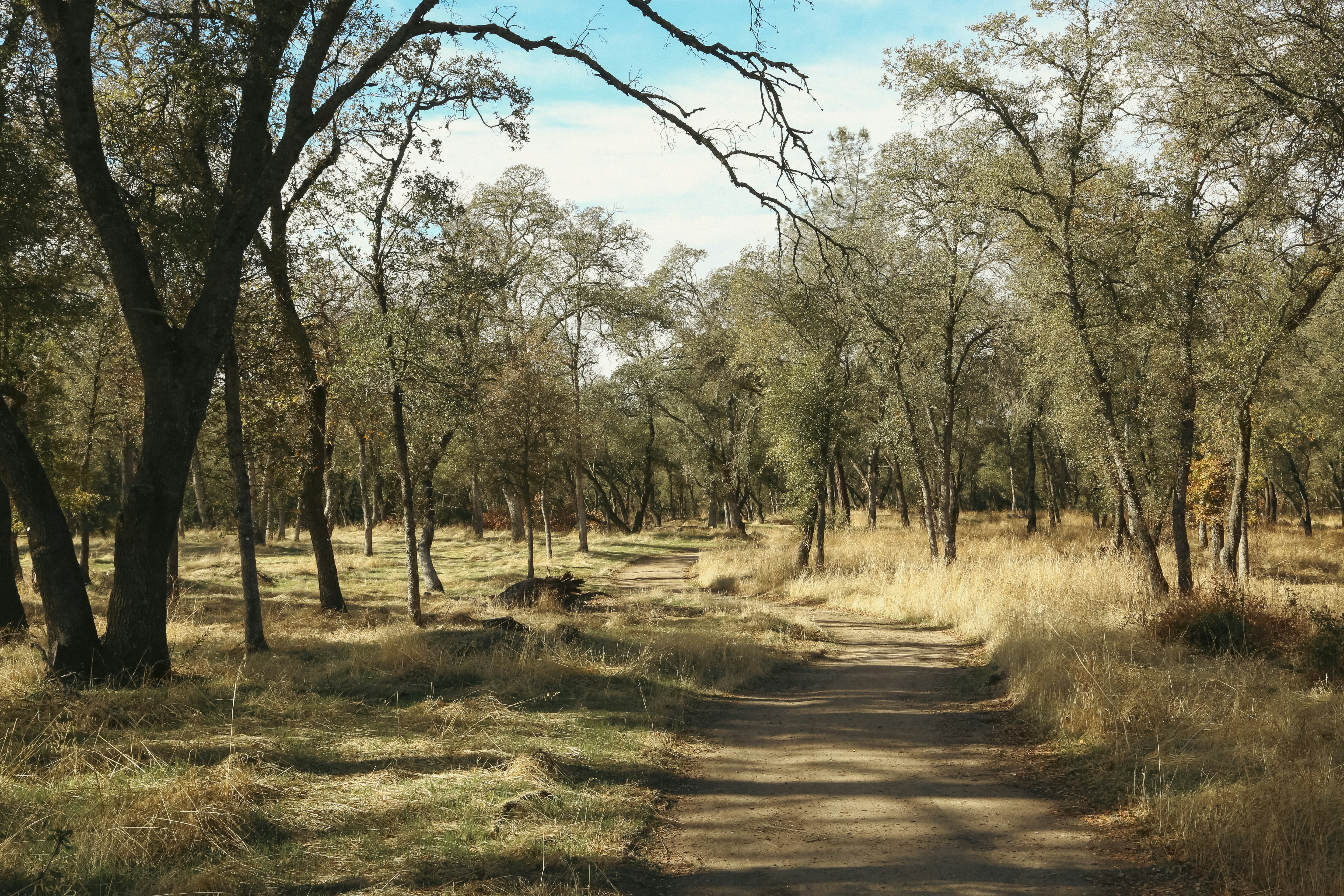 Photo by giorgiotrovato