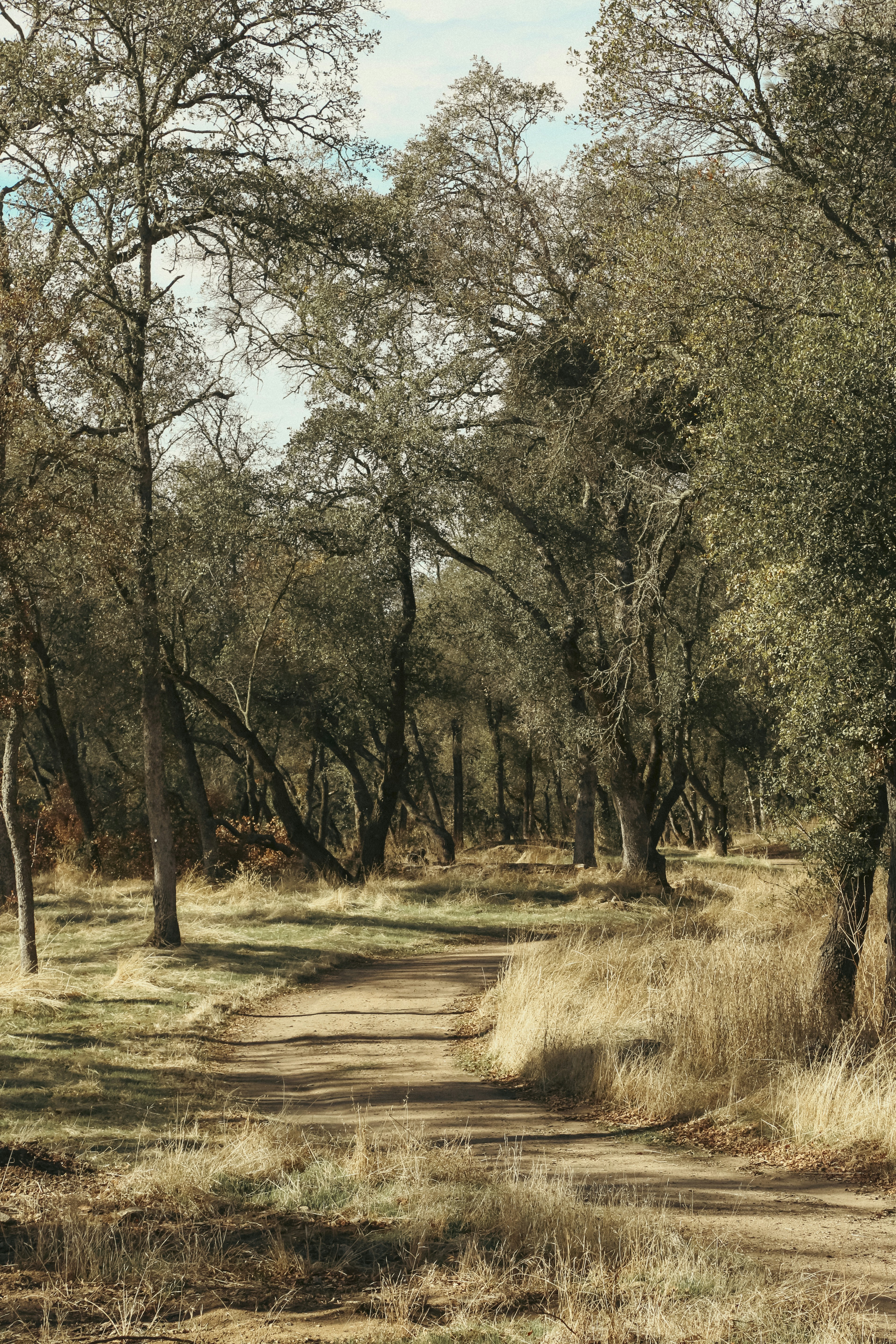 Photo by giorgiotrovato