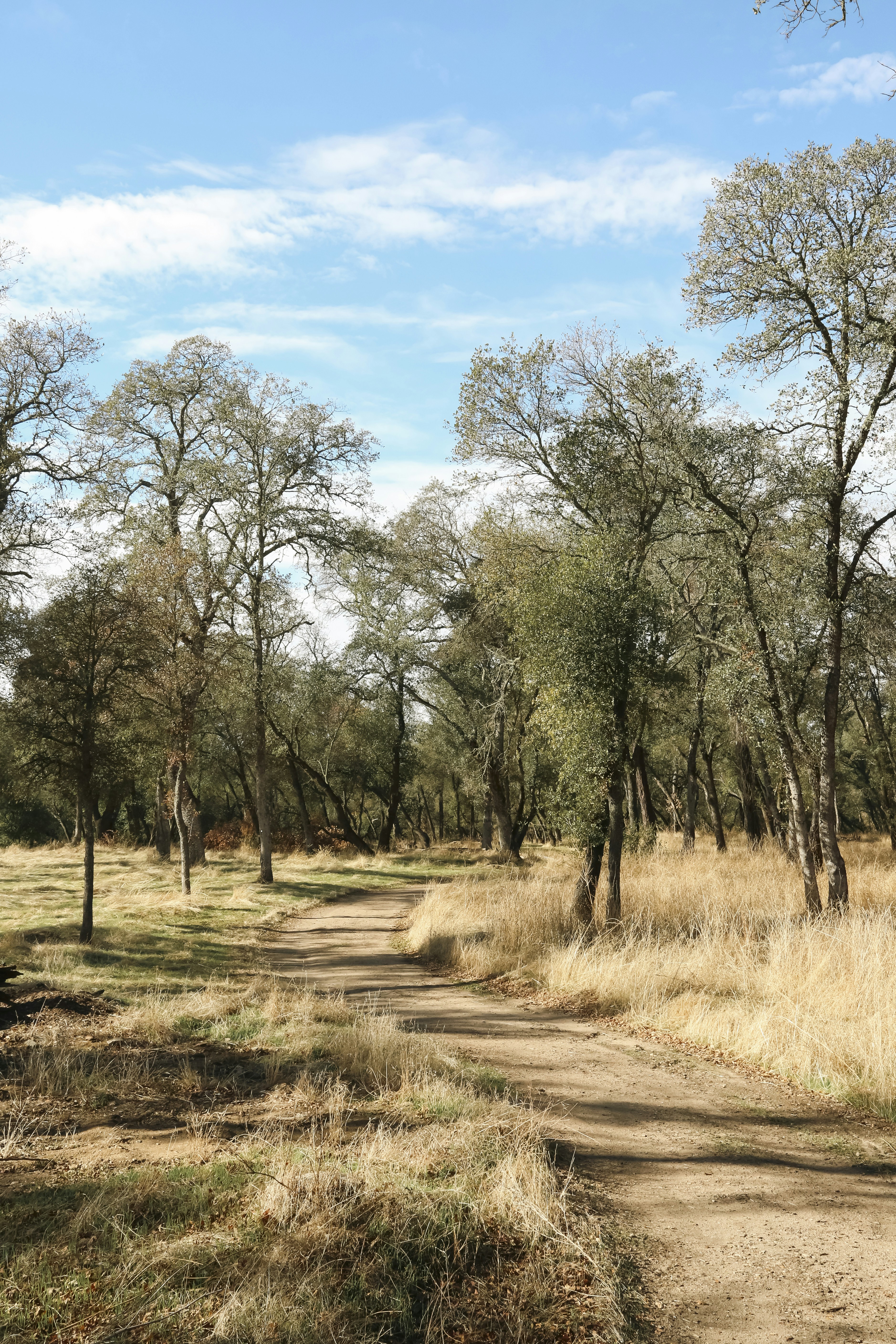 Photo by giorgiotrovato