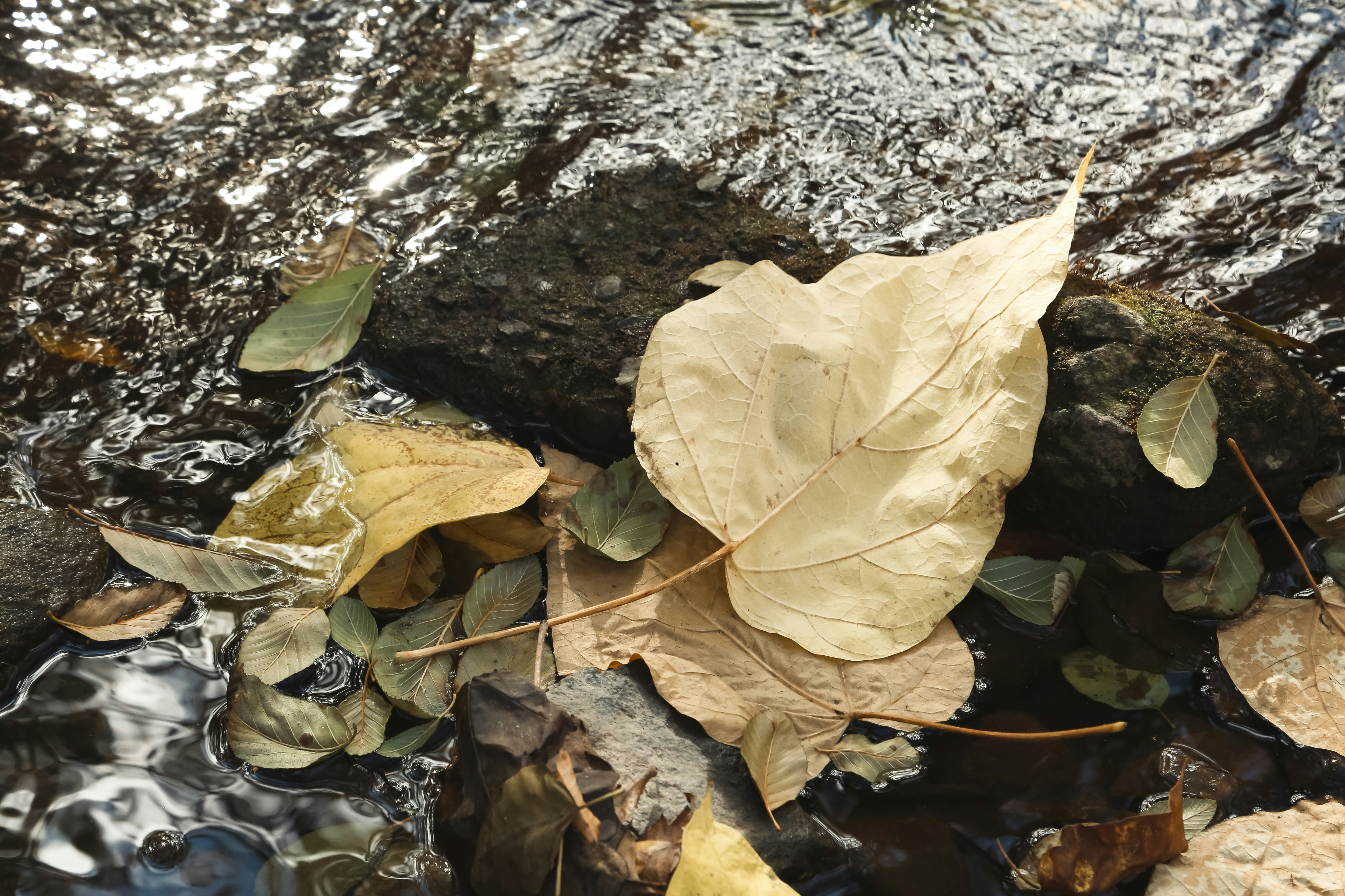 Photo by giorgiotrovato