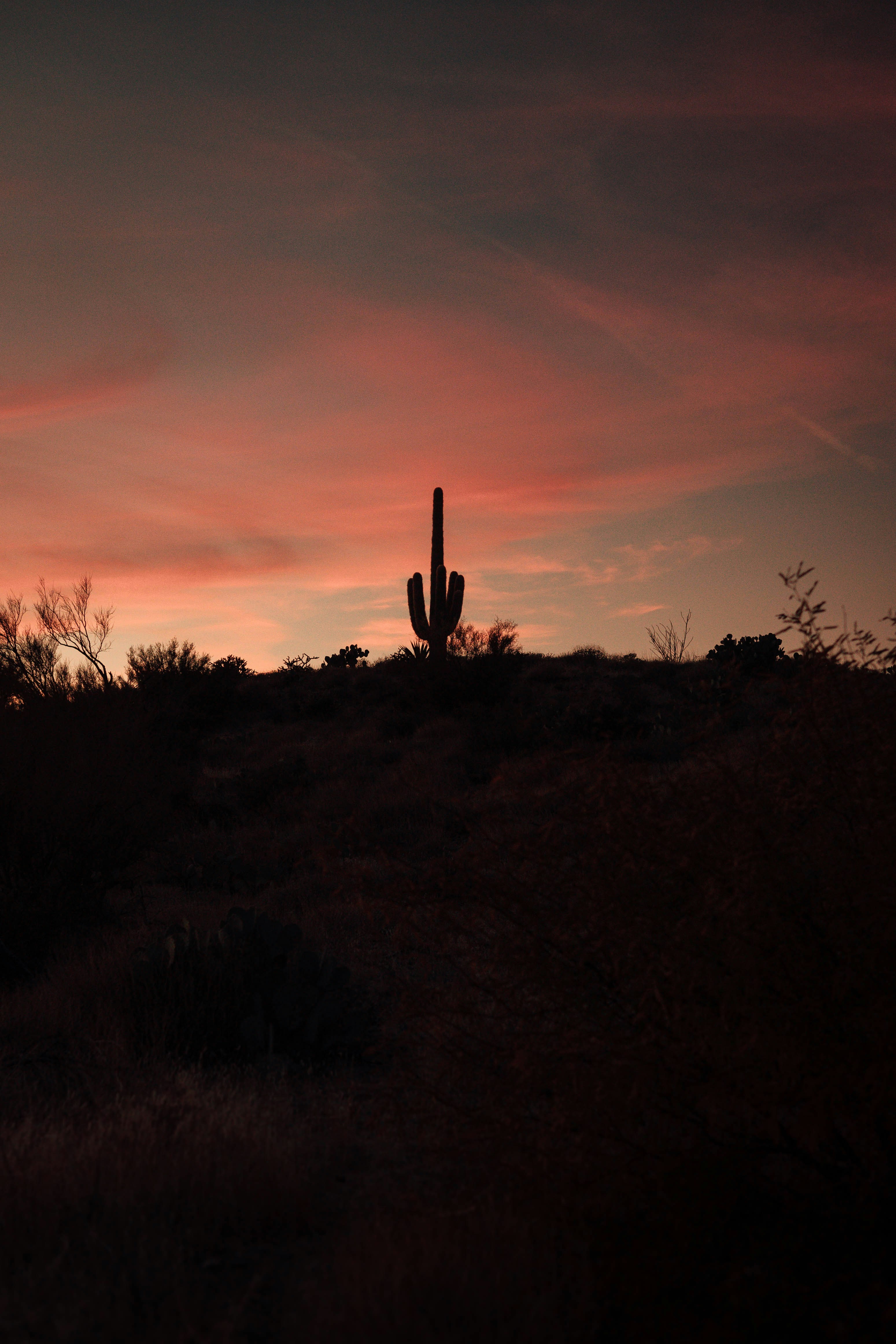 Photo by jeffersonsees