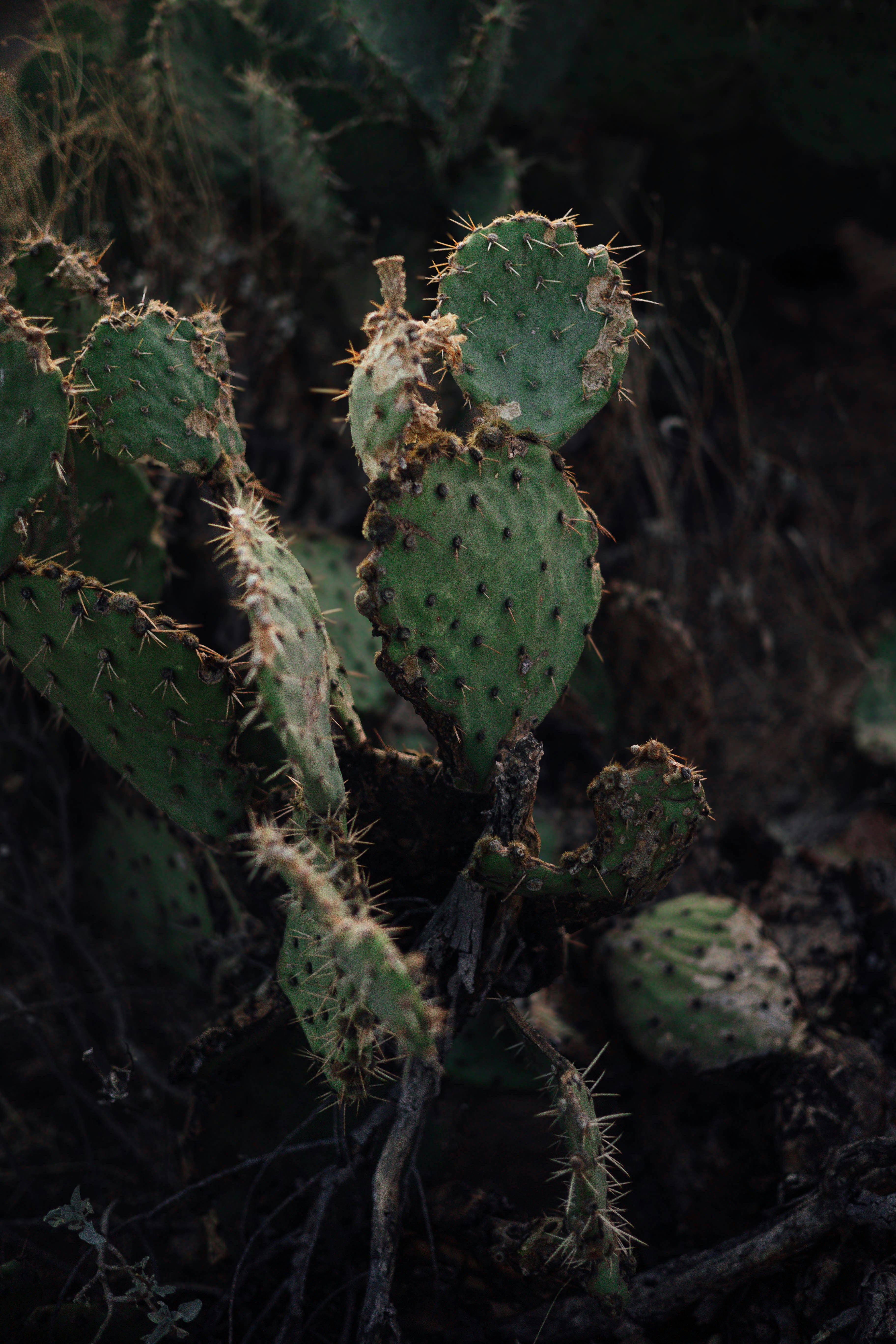 Photo by jeffersonsees