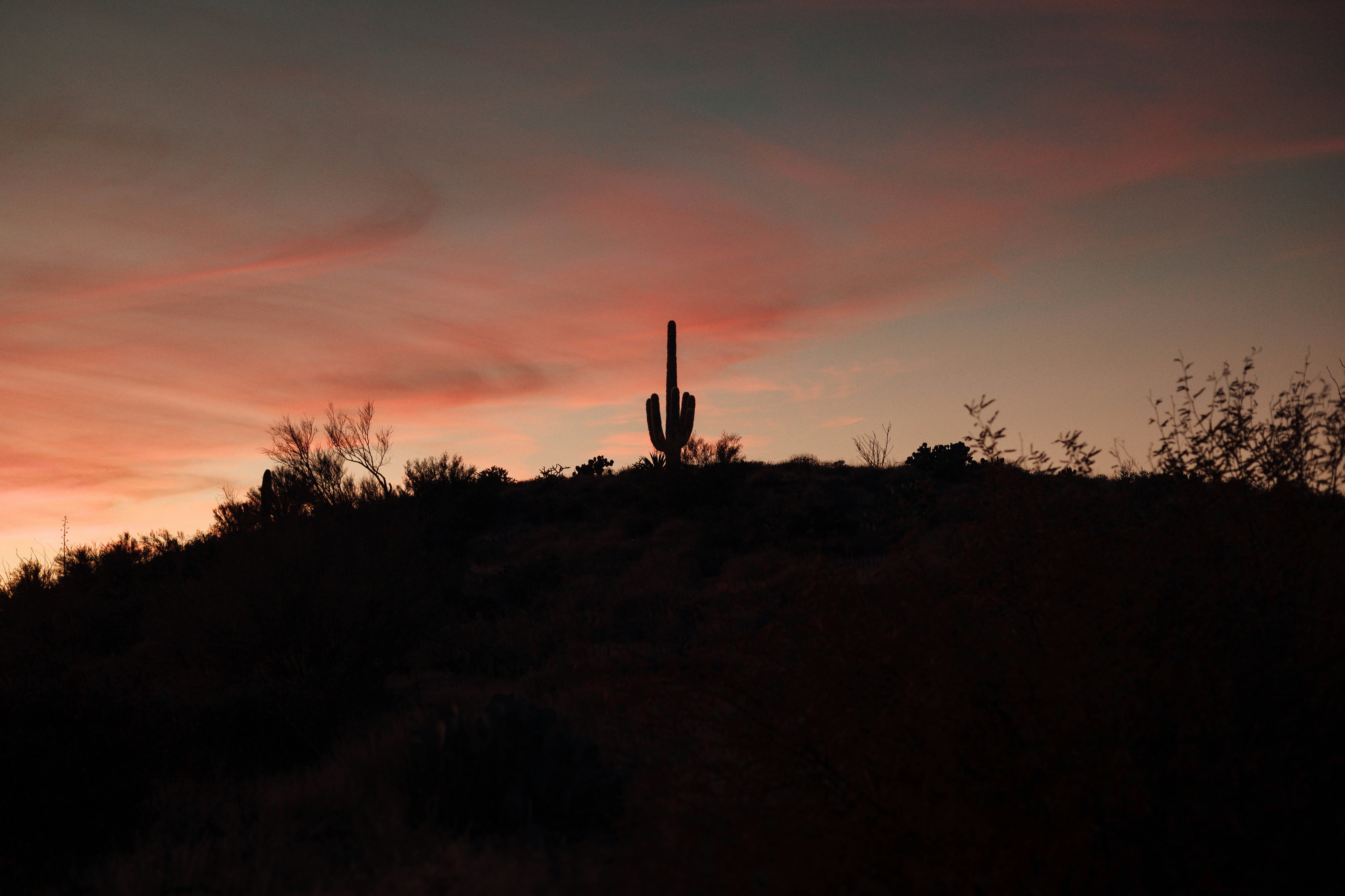 Photo by jeffersonsees