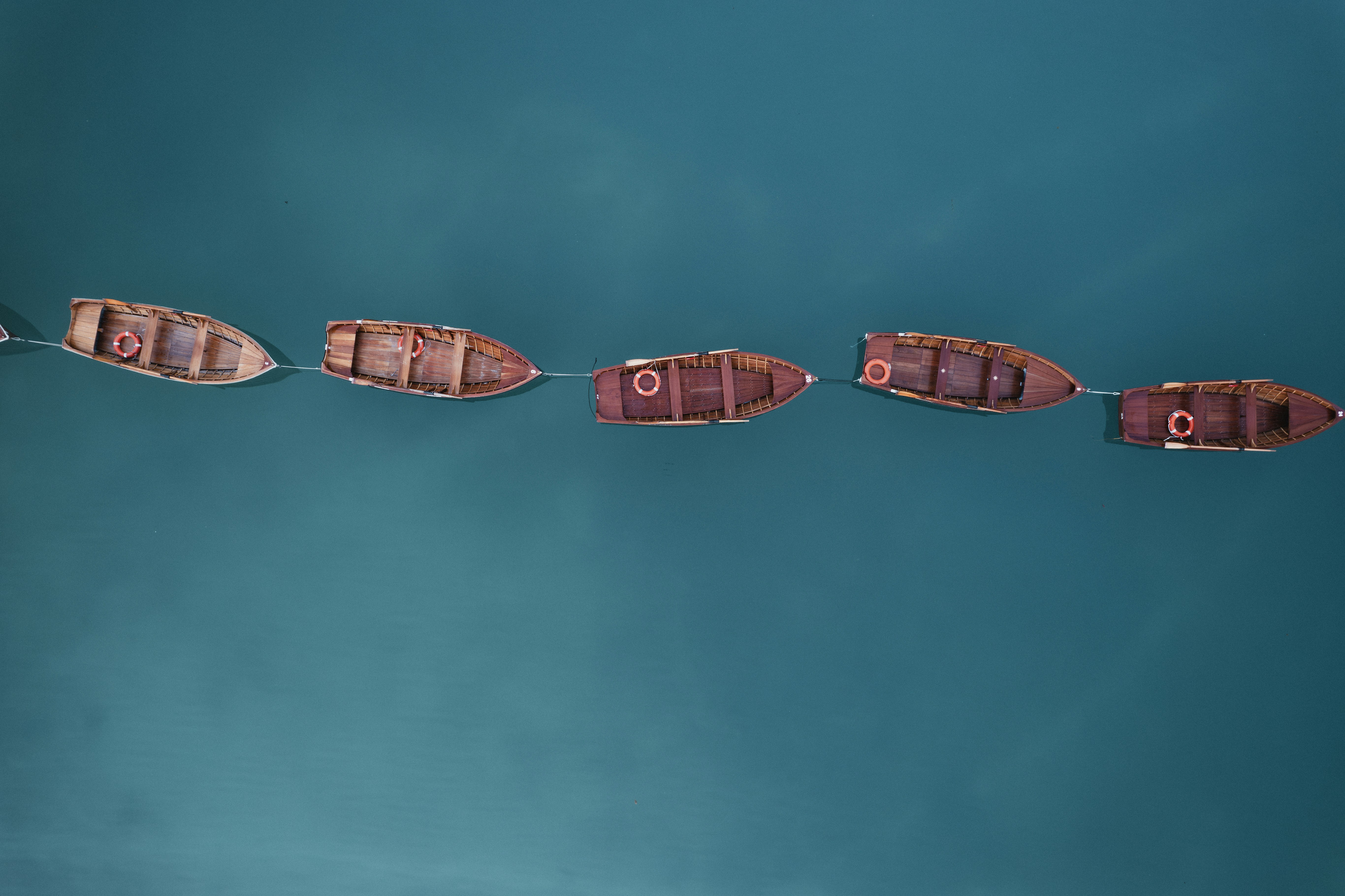 사람은 늙으면 고향으로 돌아가고 싶어 한다는 뜻의 속담