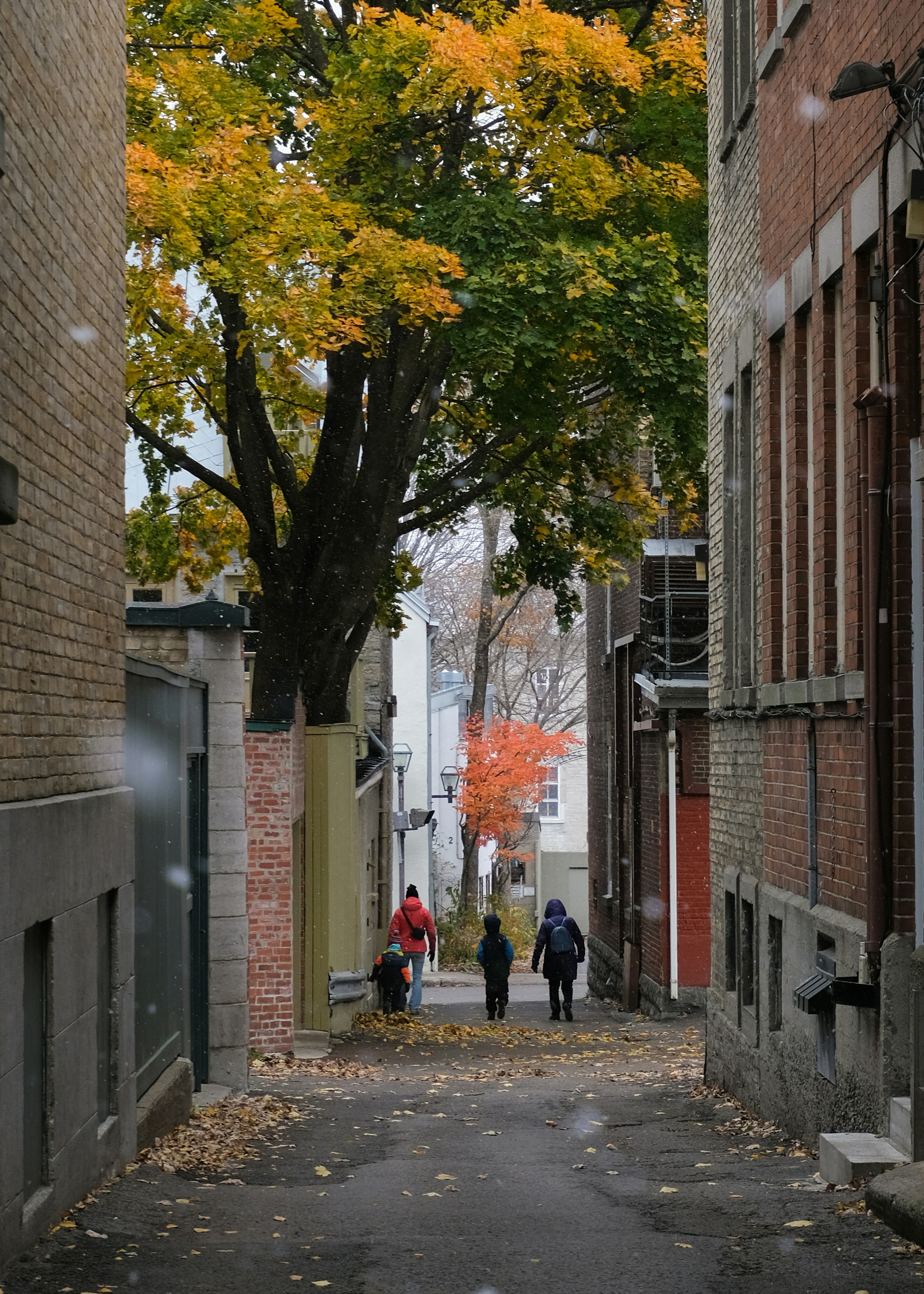 Quebec City travel photo