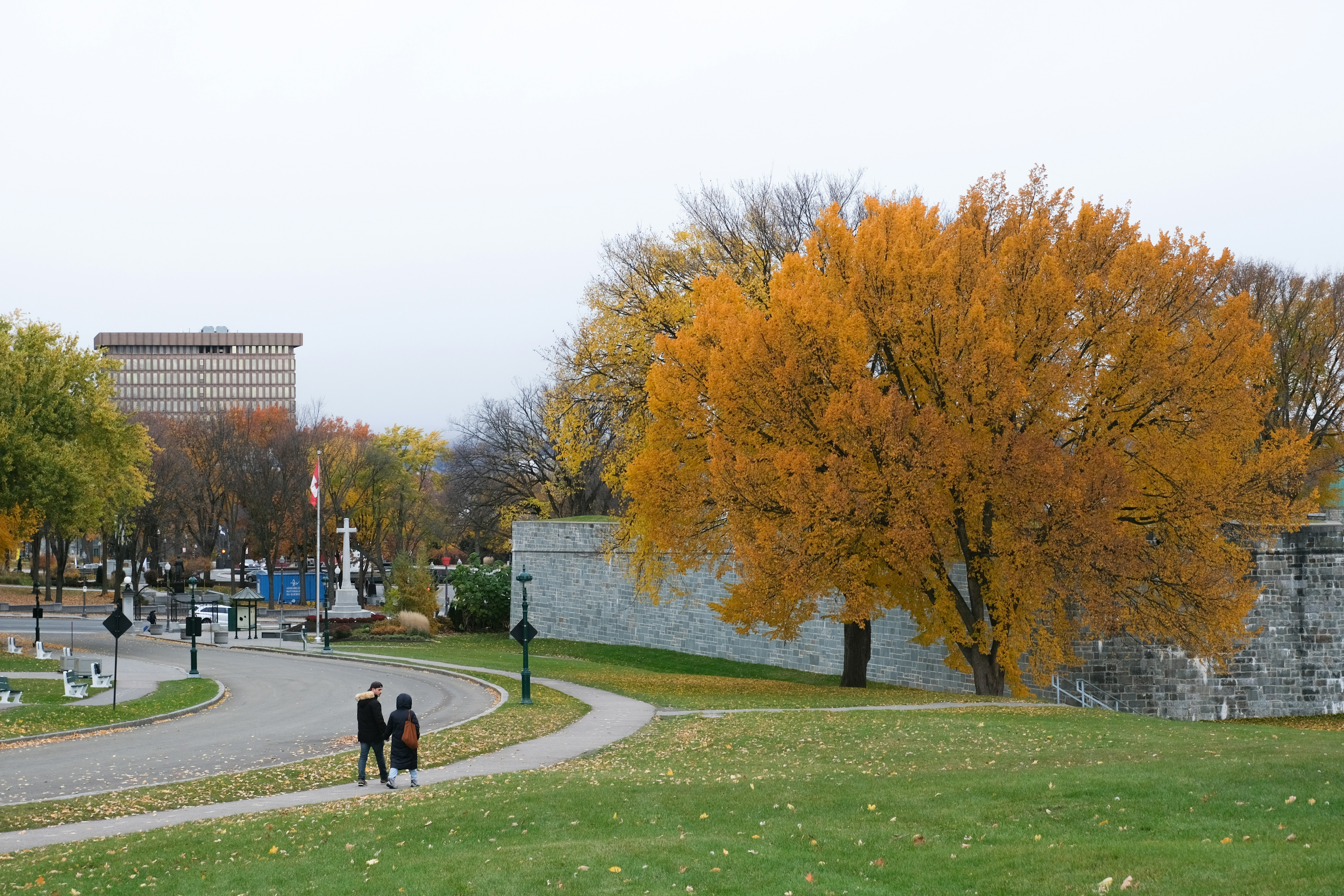 A couple of people walking down a path in a park