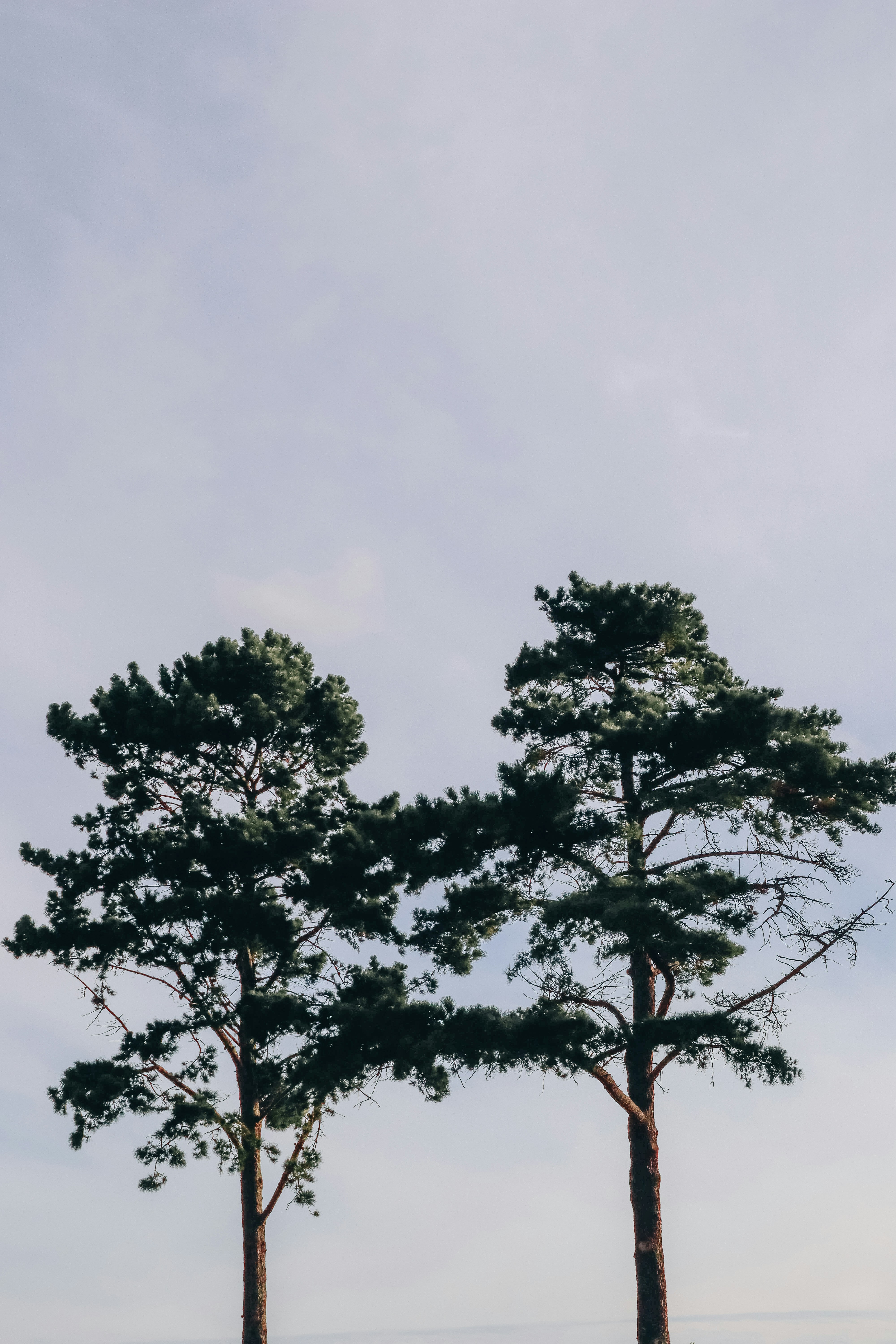 Photo by kcphotographer