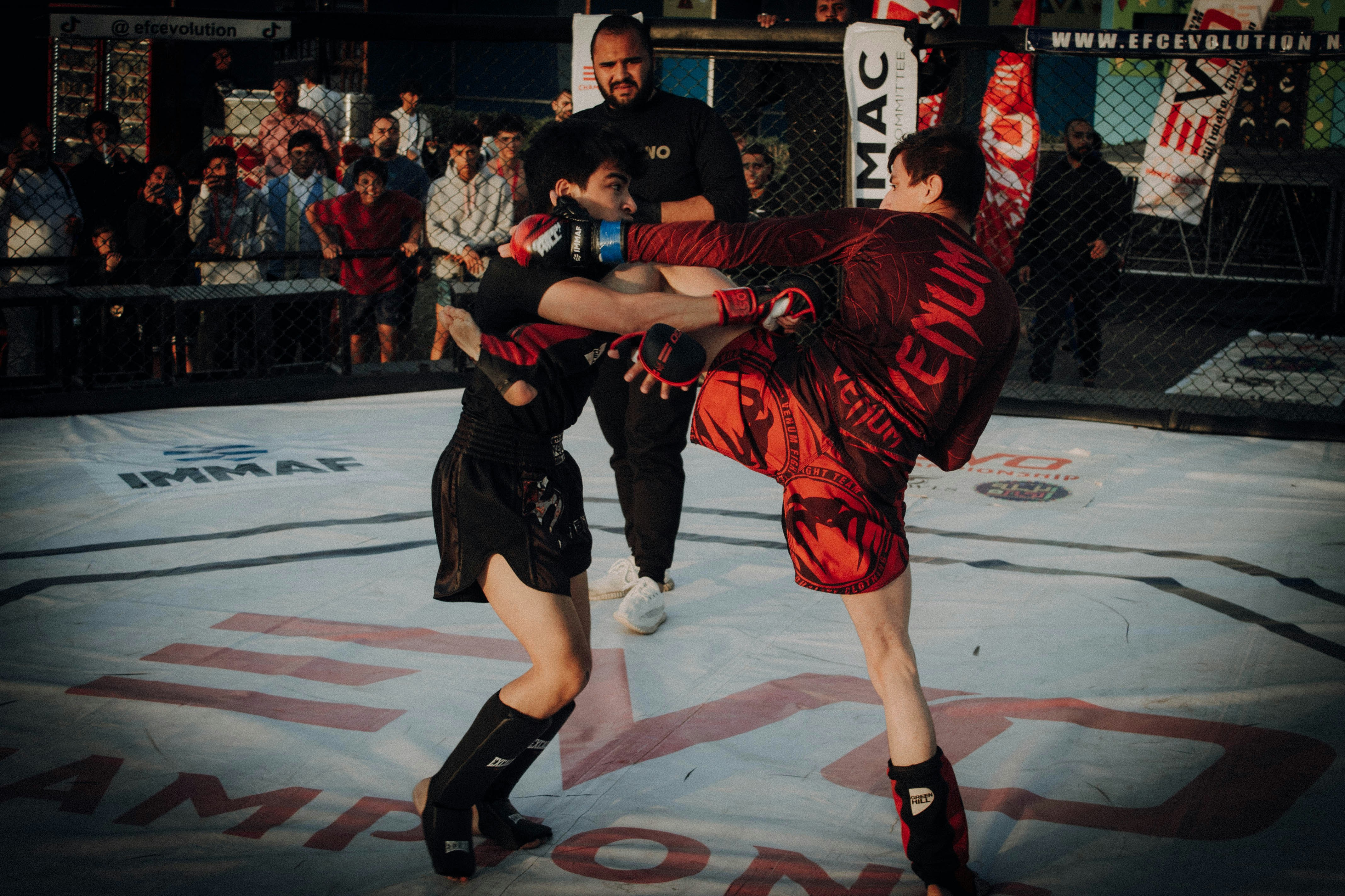 Büyükler Kadınlar Türkiye Güreş Şampiyonası Ankara’da Tamamlandı - Spor haberi görseli