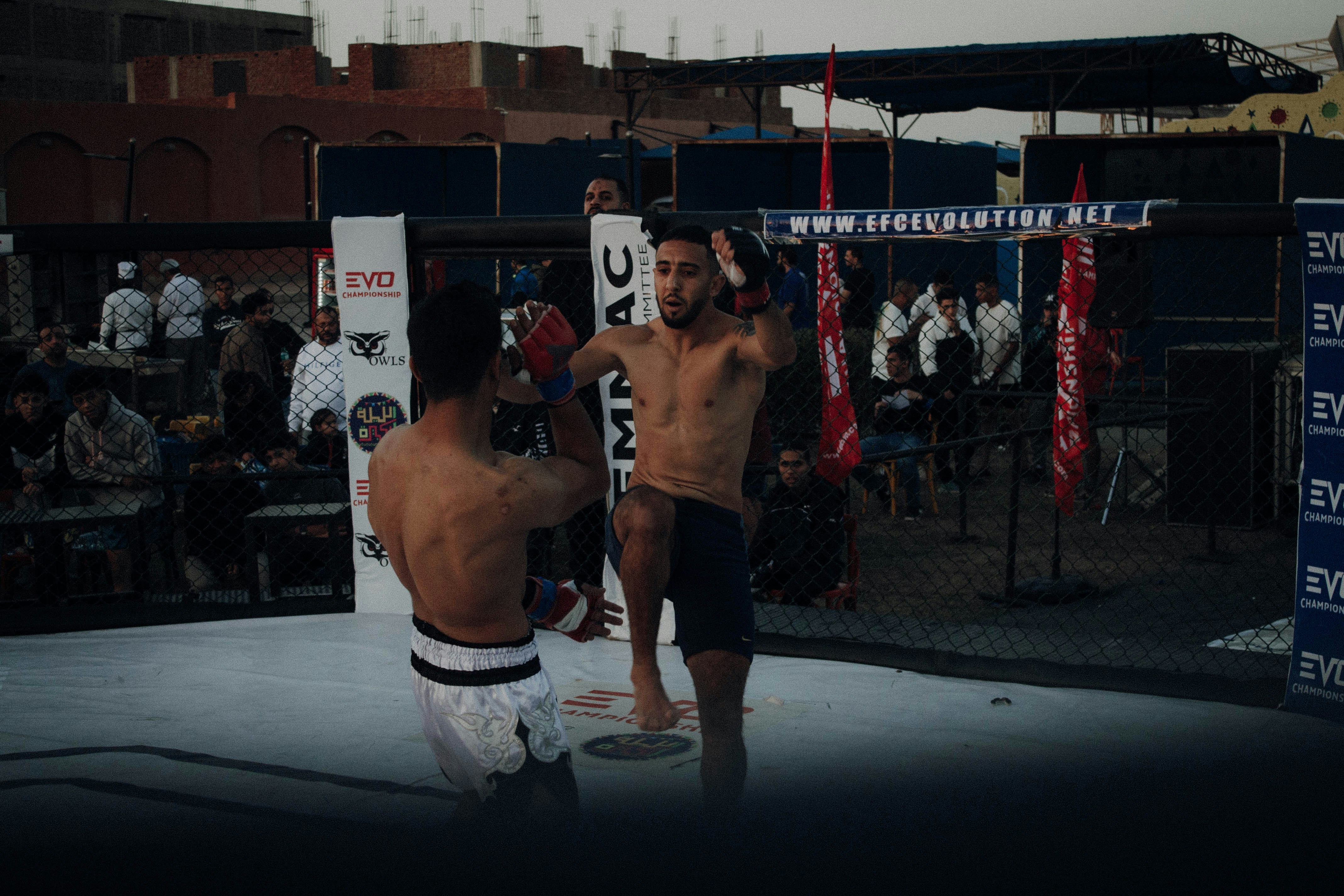 Võ thuật & MMA
