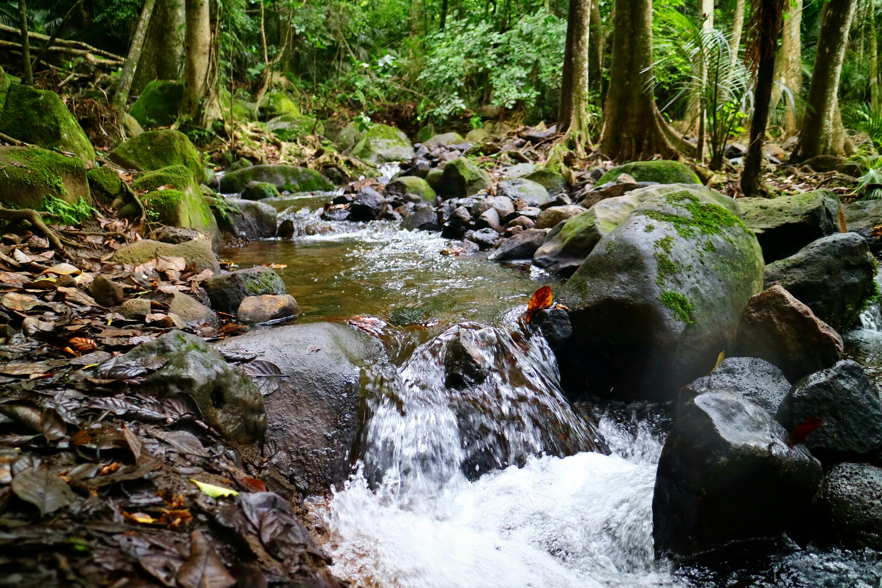 Photo by rewildingme