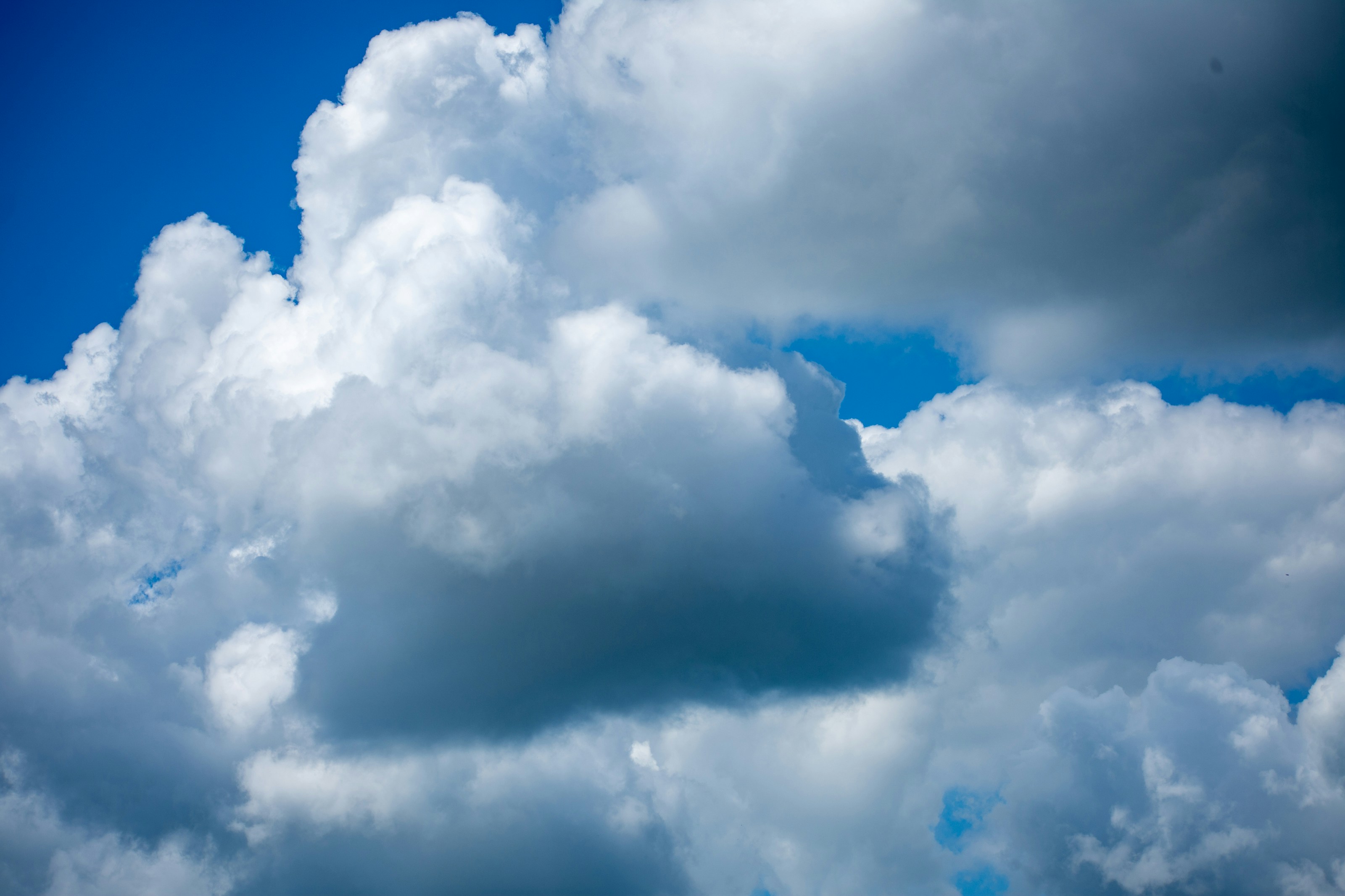 Photo by juanmanunez