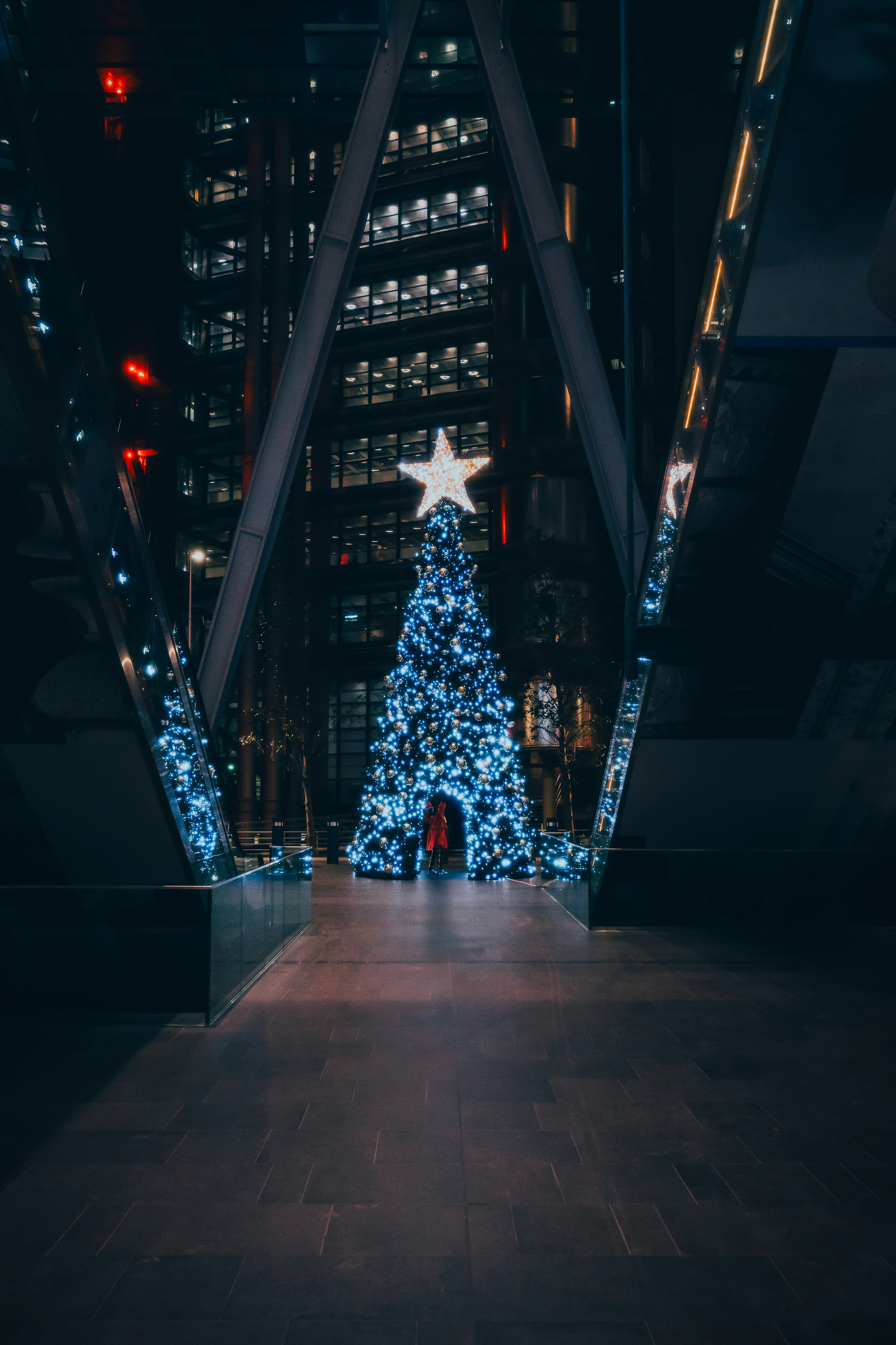 Large outdoor Christmas tree lit up at night