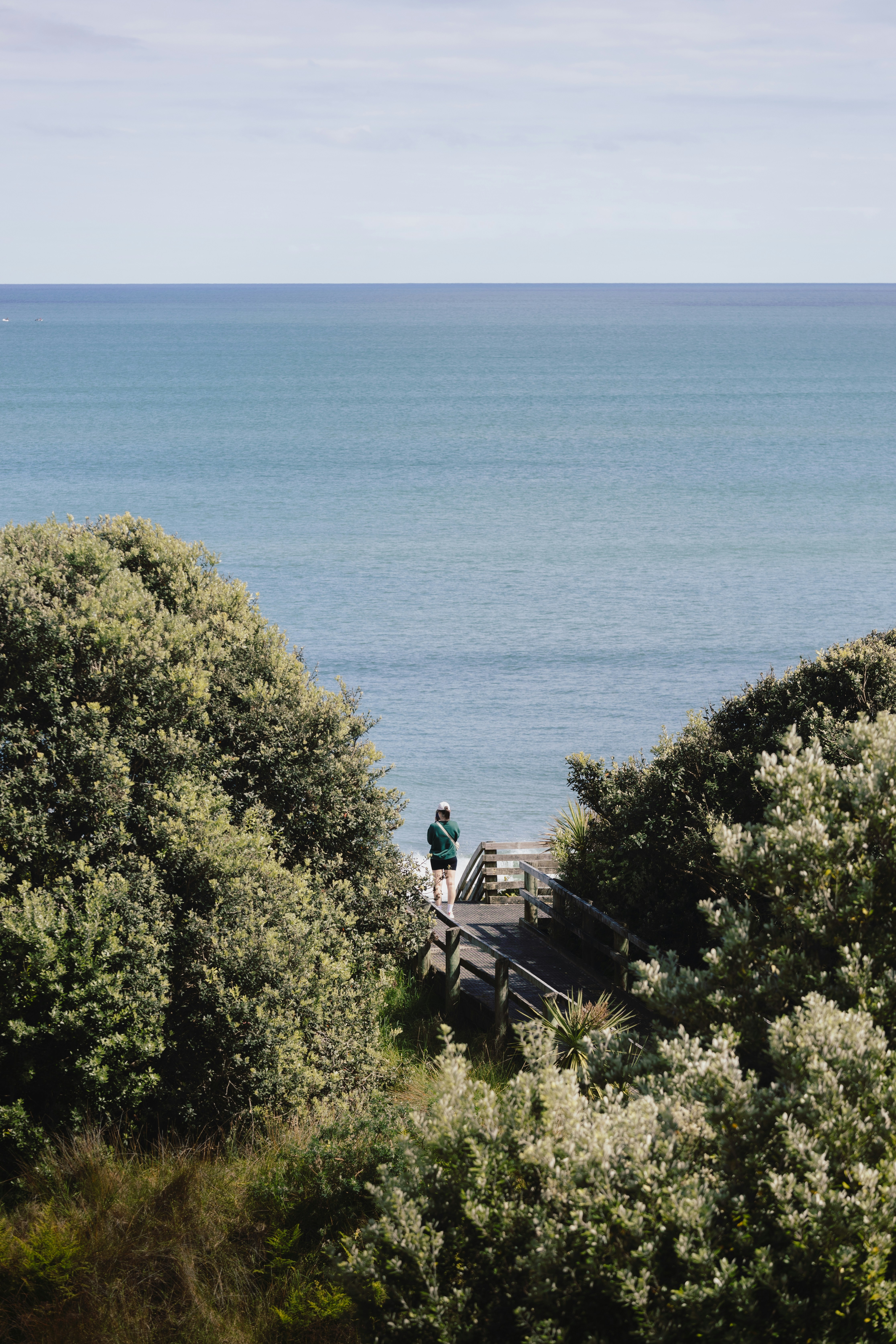 A person sitting on a bench looking out at the ocean photo – Free ...