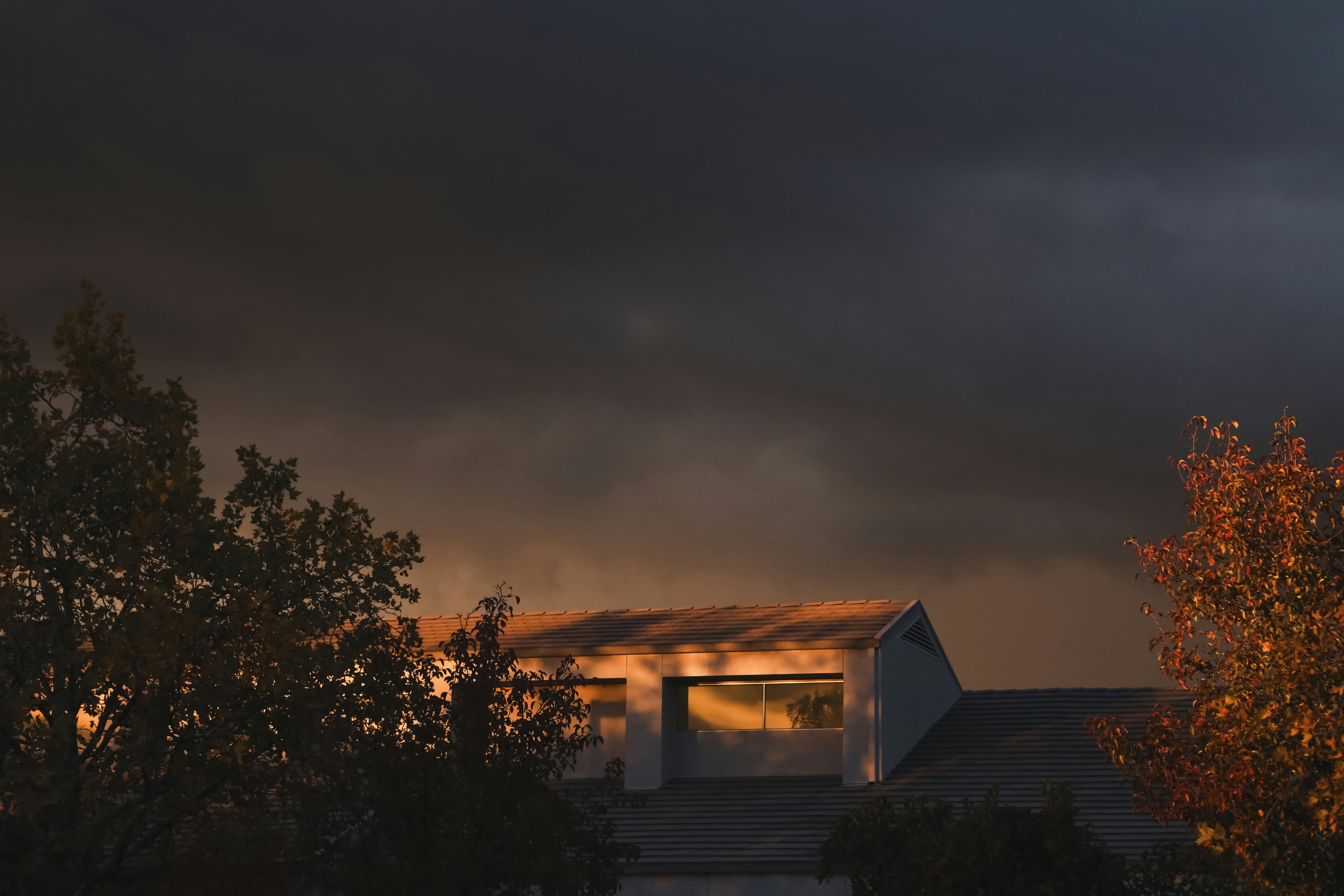 Photo by giorgiotrovato