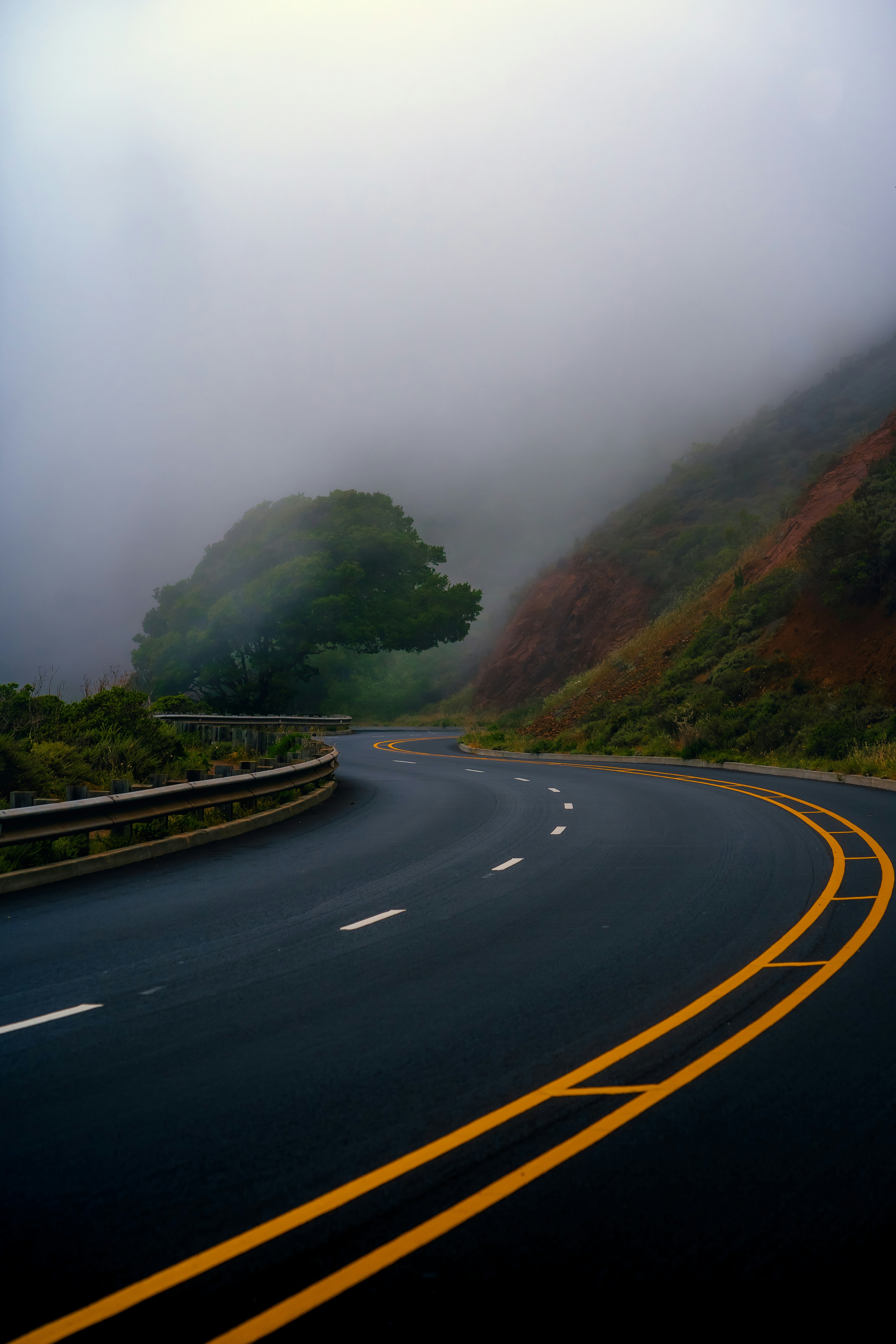 Photo by kalaniparker