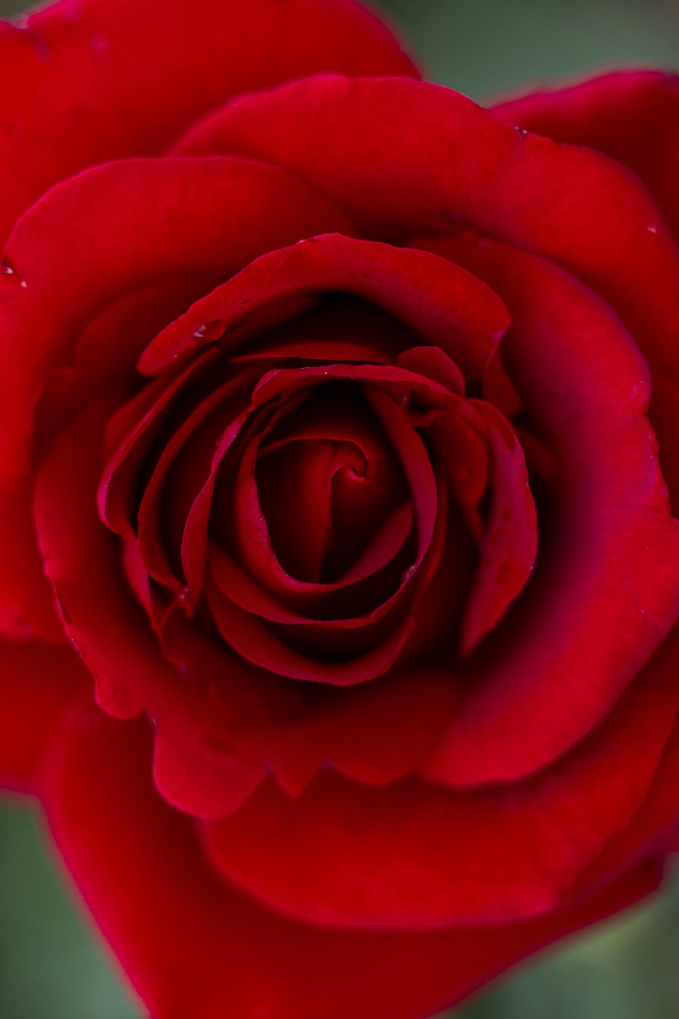 Photo by leo_visions_