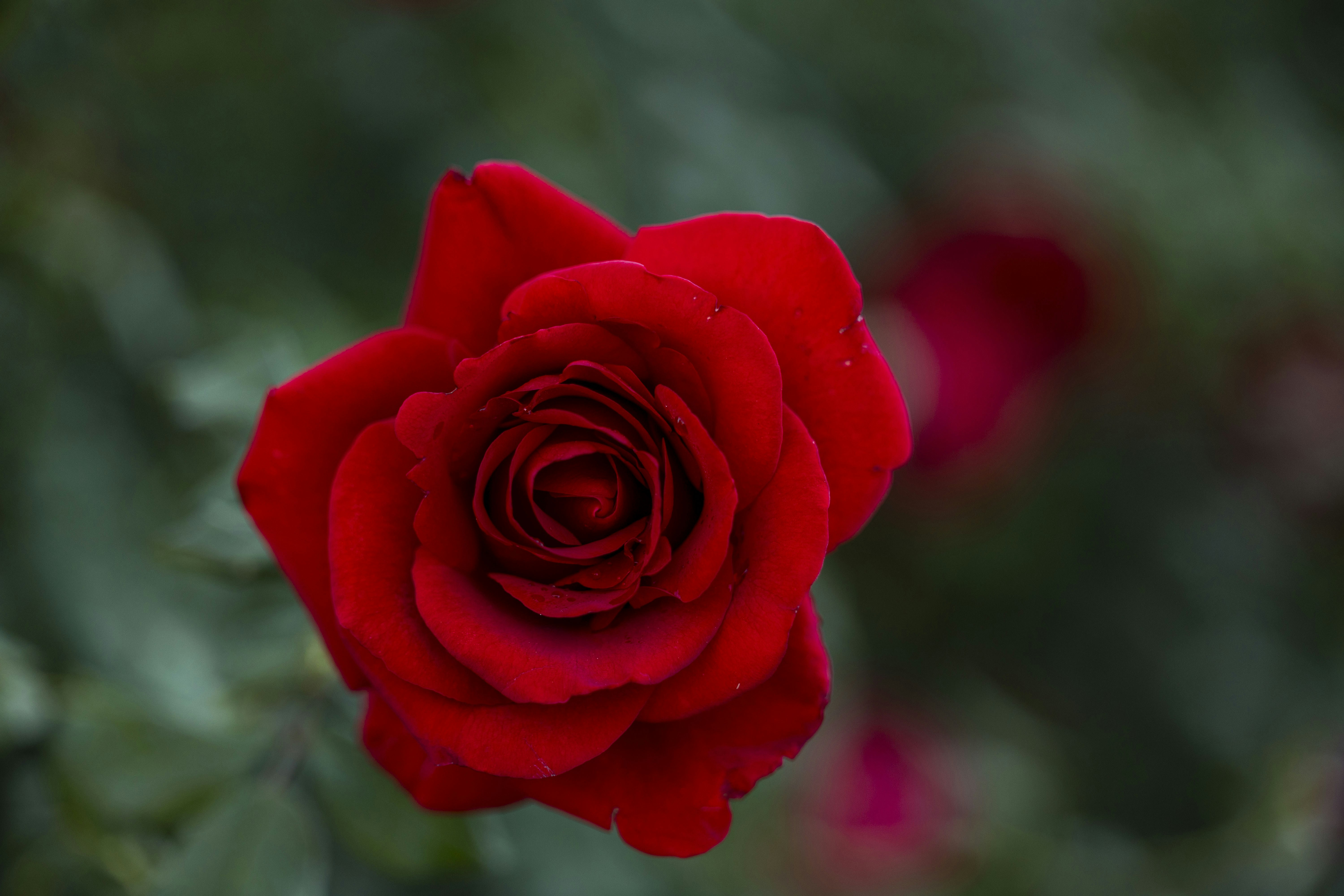 Photo by leo_visions_