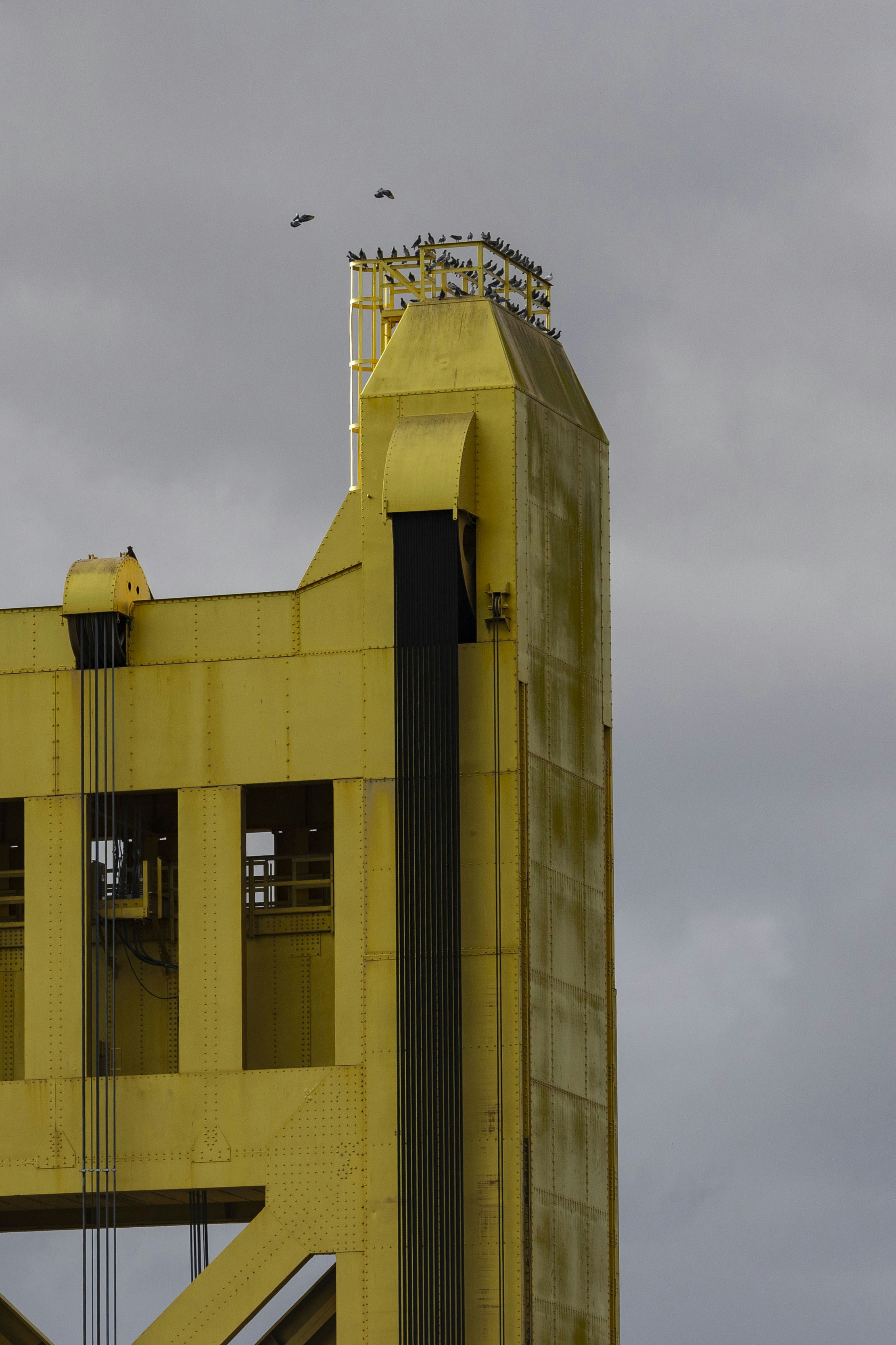 A tall yellow tower with a clock on it's side photo – Free Construction ...