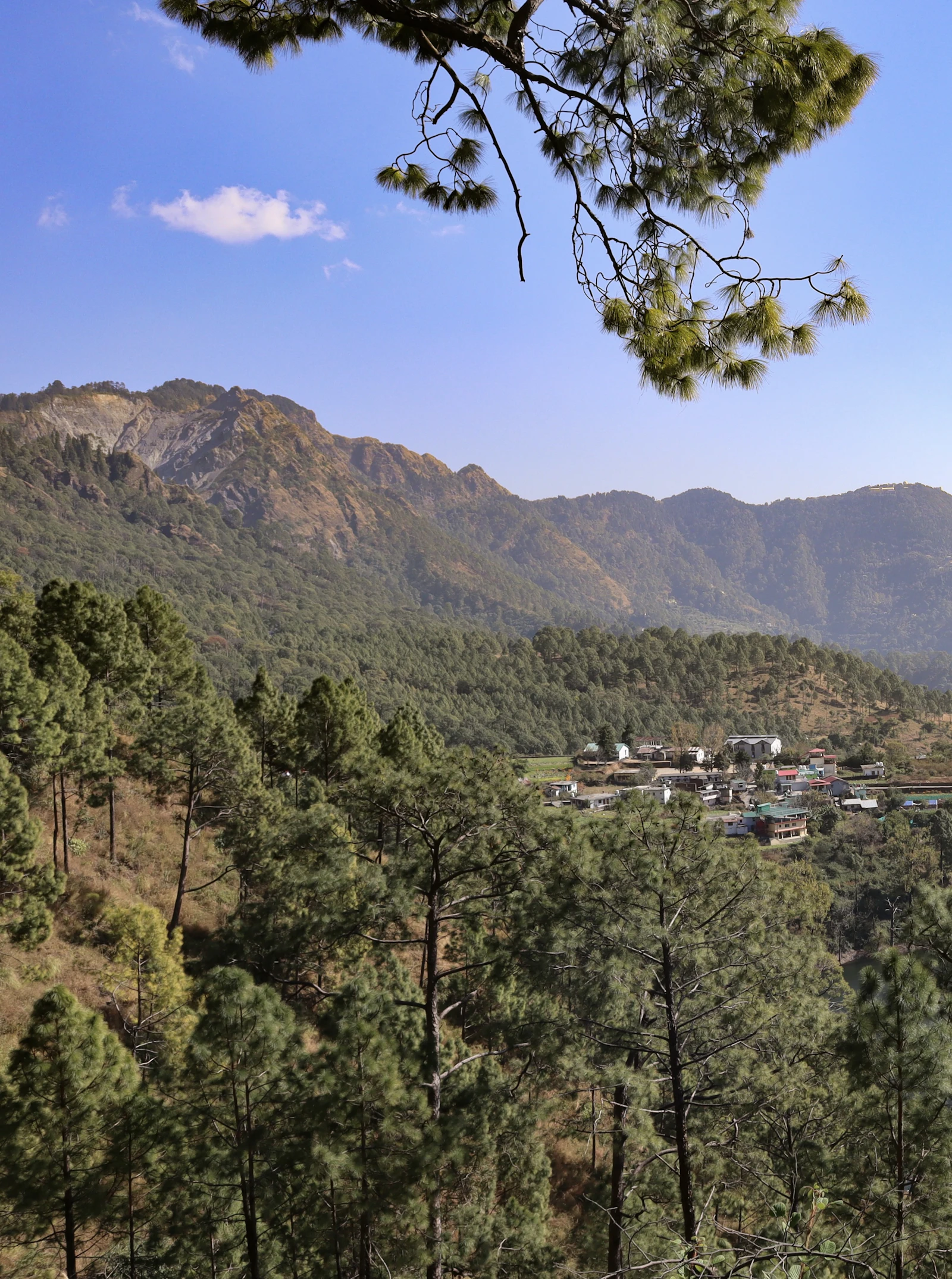 Uttarakhand — Lakes, Peaks & Jungle photo 2